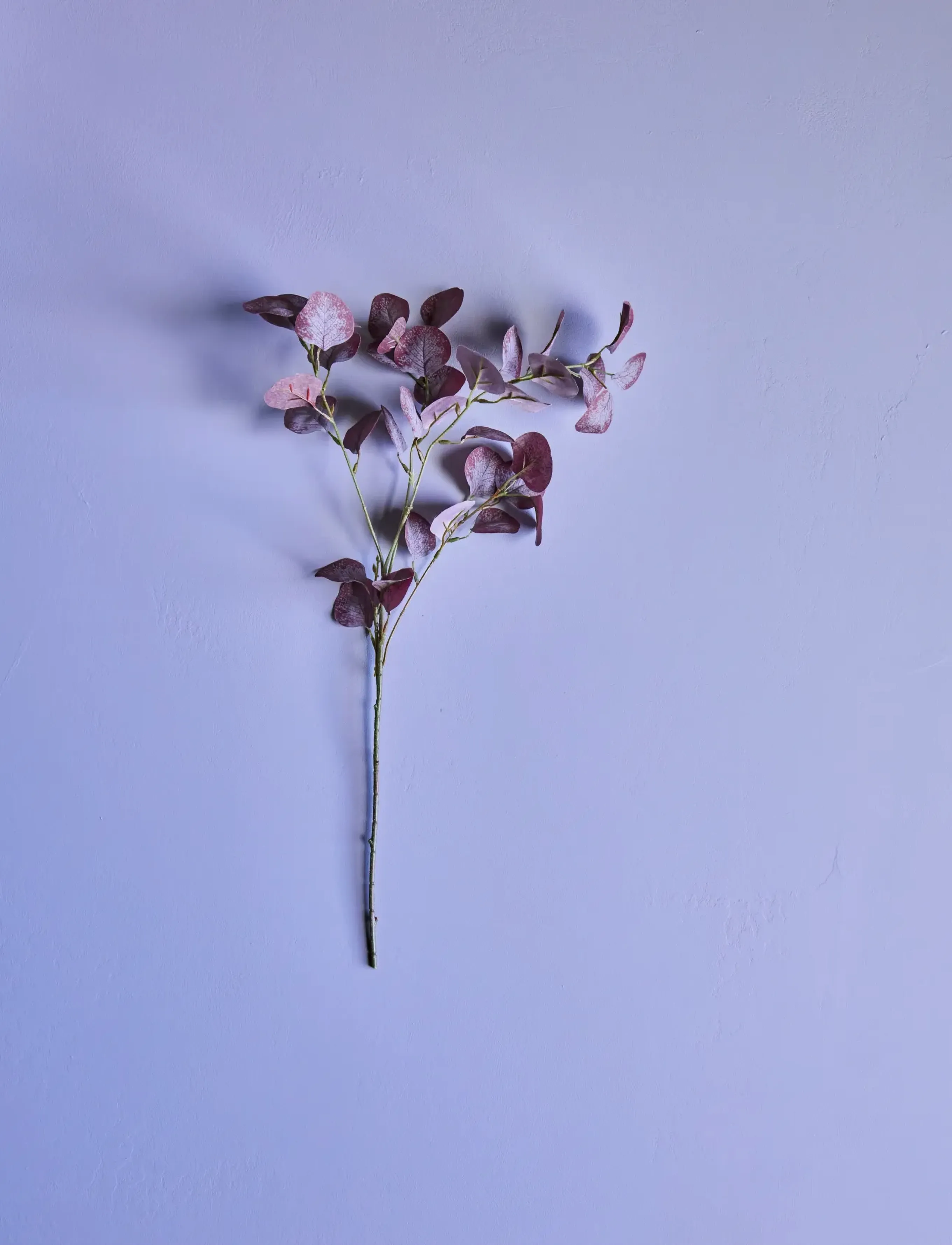house doctor Artificial Branch, Hdeucalyptus, Bu, 20X 75 cm, Decoration, Rosa - Dried & Fake Flowers, Homeware