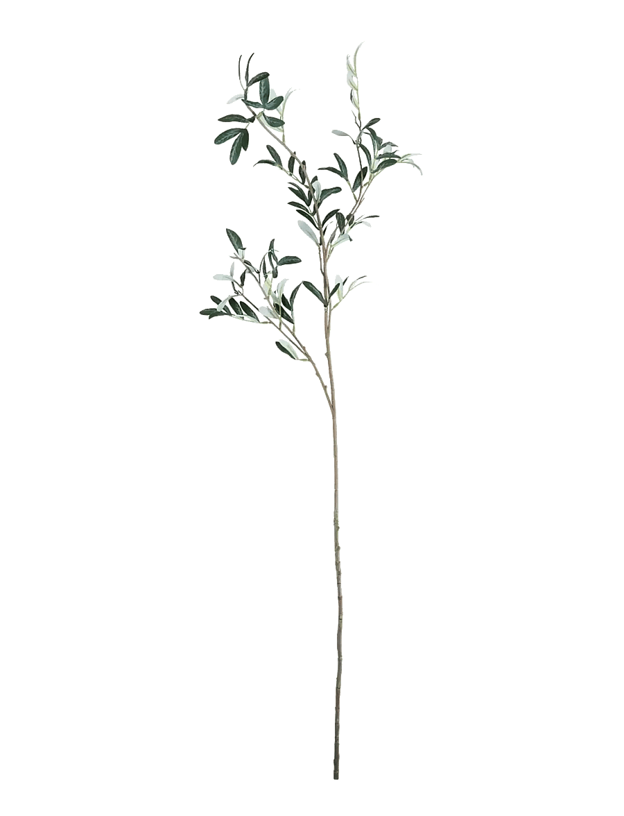 house doctor - Artificial branch, HDOlive, Green - die niedrigsten preise - green - 0