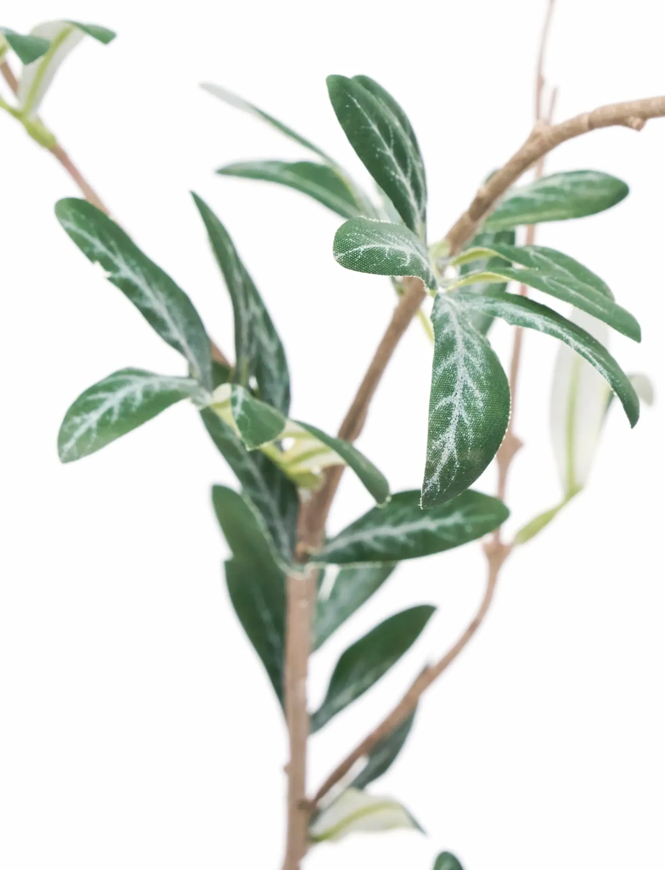 house doctor - Artificial branch, HDOlive, Green - ystävänpäivälahjat - green - 2