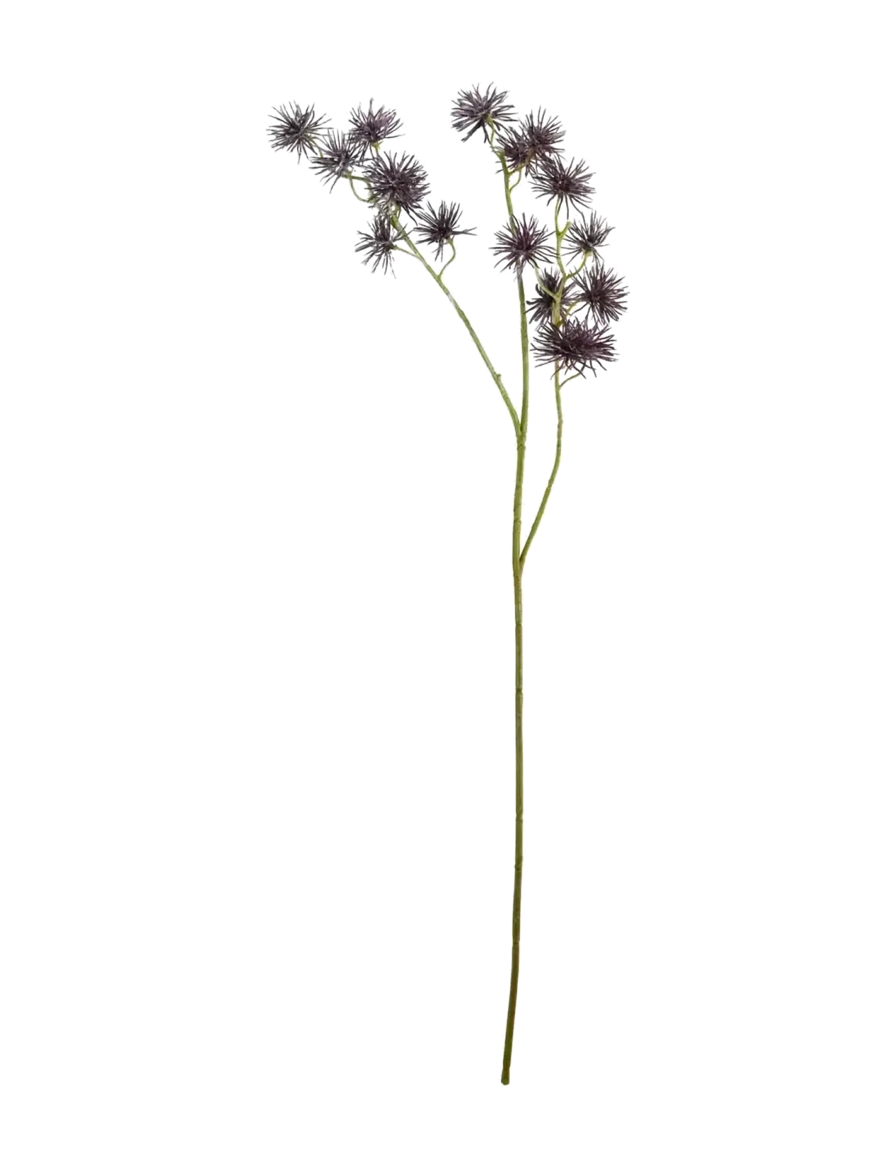 house doctor Artificial Flower, Hdurchin Spray,, Dried & Fake Flowers, Bordeaux, Str: 15X 65CM