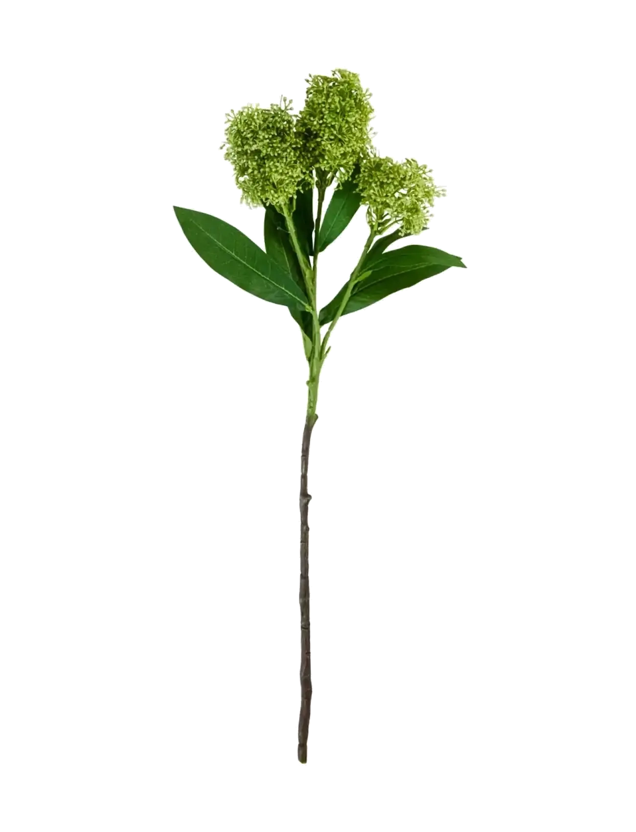house doctor Artificial Flower, Hdskimmia, Green, Dried & Fake Flowers, Grøn, Str: 15X 55CM