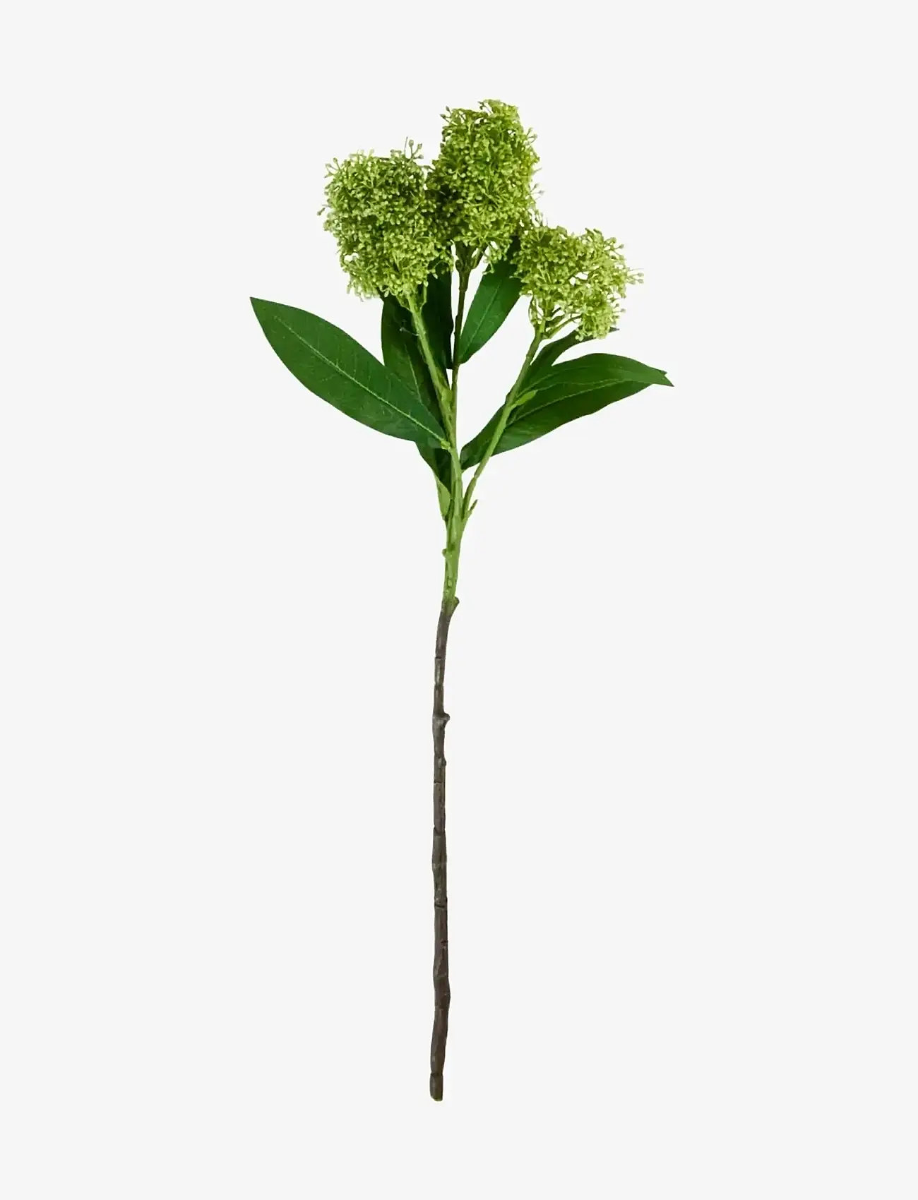 house doctor - Artificial flower, HDSkimmia, Green - valentinstaggeschenke - green - 1