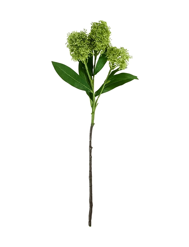 house doctor - Artificial flower, HDSkimmia, Green - valentinstaggeschenke - green - 1