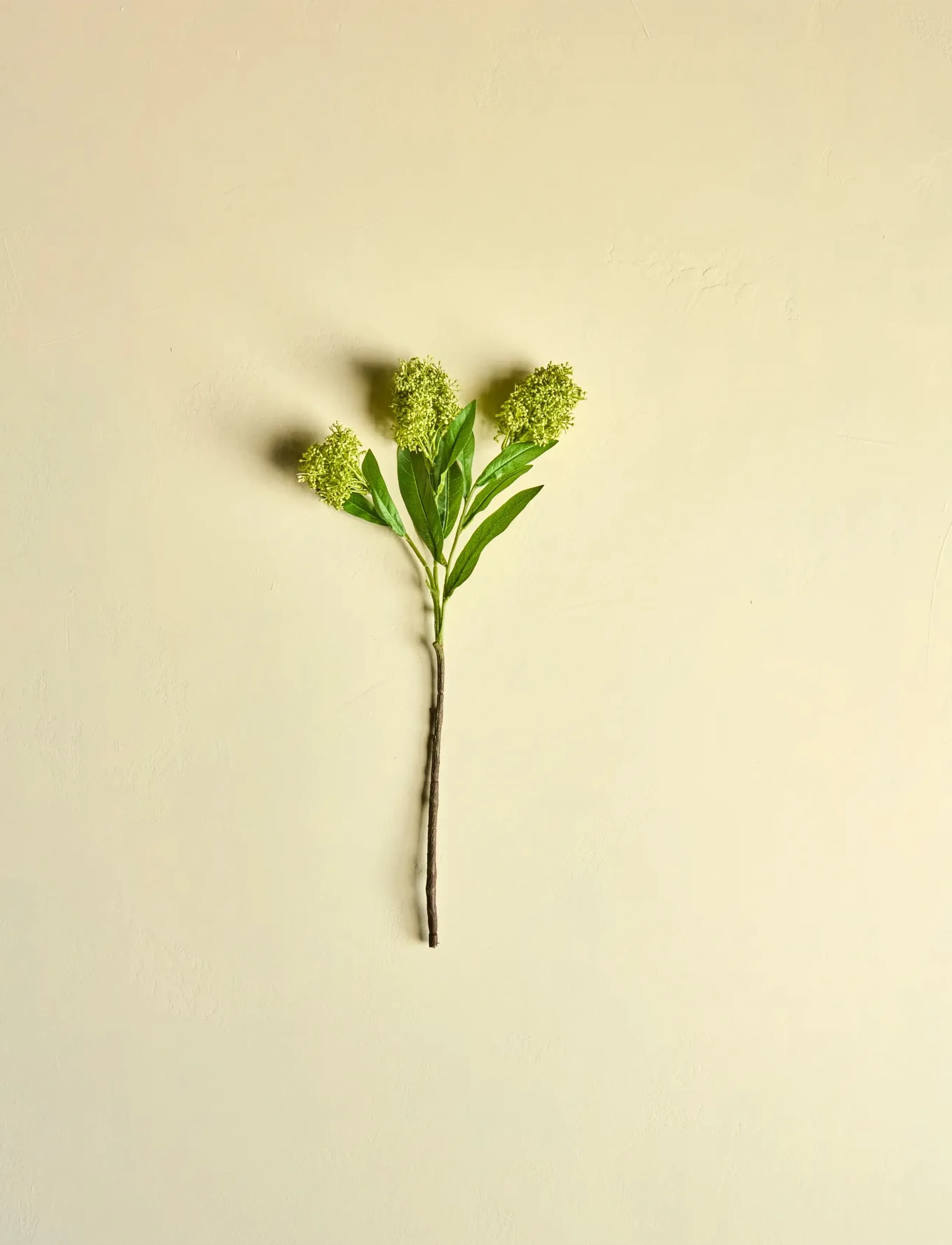 house doctor Artificial Flower, Hdskimmia, Green, 15X 55 cm, Decoration, Grün - Dried & Fake Flowers, Homeware