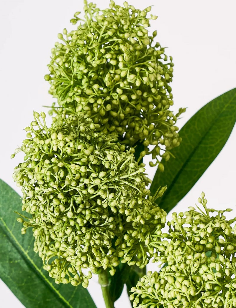 house doctor - Artificial flower, HDSkimmia, Green - valentinstaggeschenke - green - 2