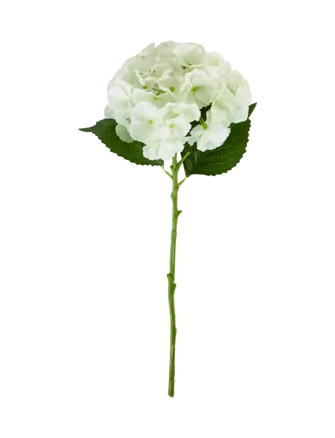 house doctor Artificial Flower, Hdhydrangea, Whi, Dried & Fake Flowers, Hvid, Str: 22X 50CM