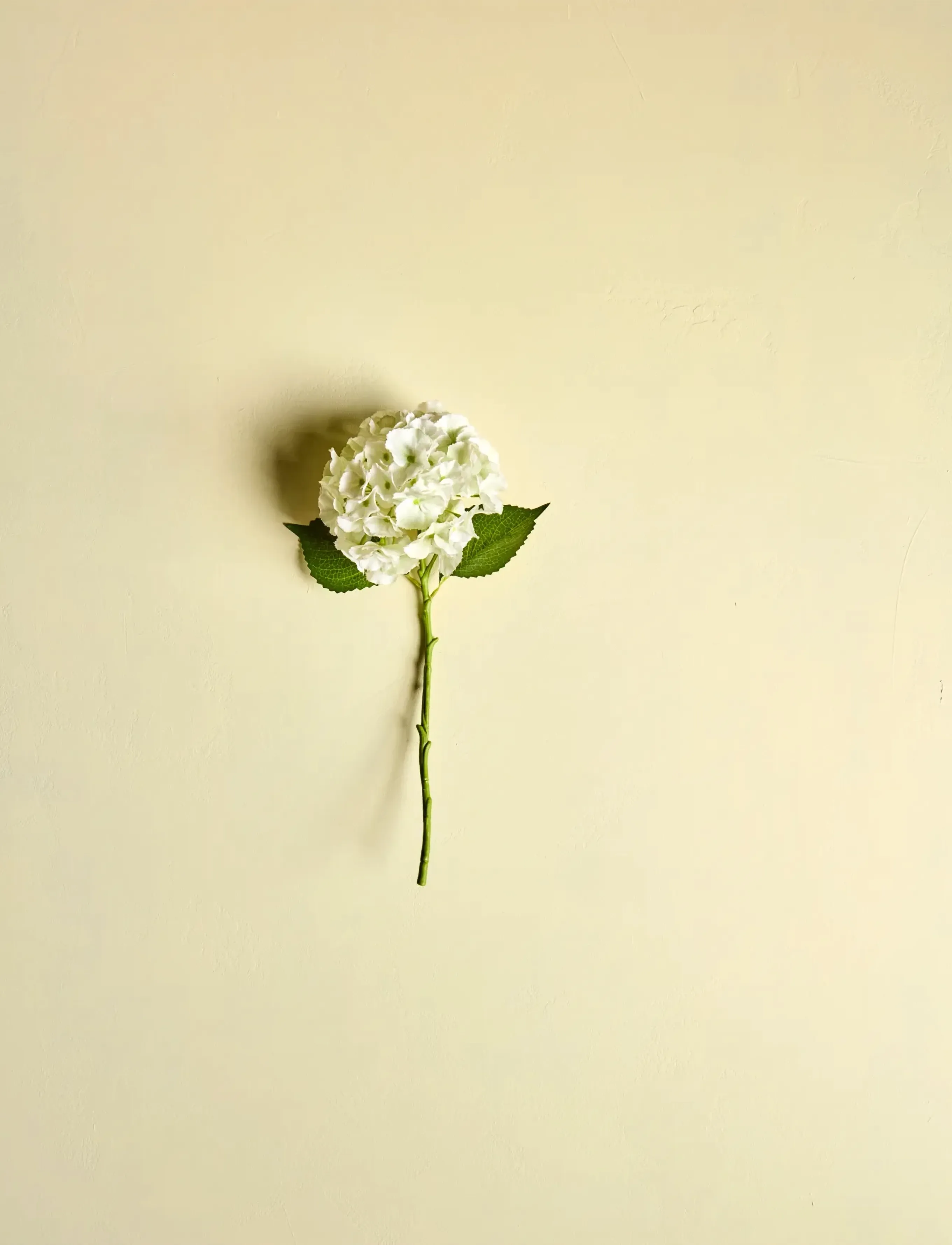 house doctor Artificial Flower, Hdhydrangea, Whi, 22X 50 cm, Decoration, Weiß - Dried & Fake Flowers, Homeware