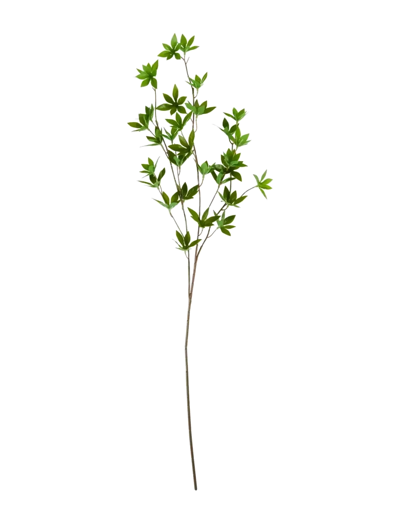 house doctor Artificial Branch, Hdjaponica, Gree, Dried & Fake Flowers, Grøn, Str: 15X 80CM