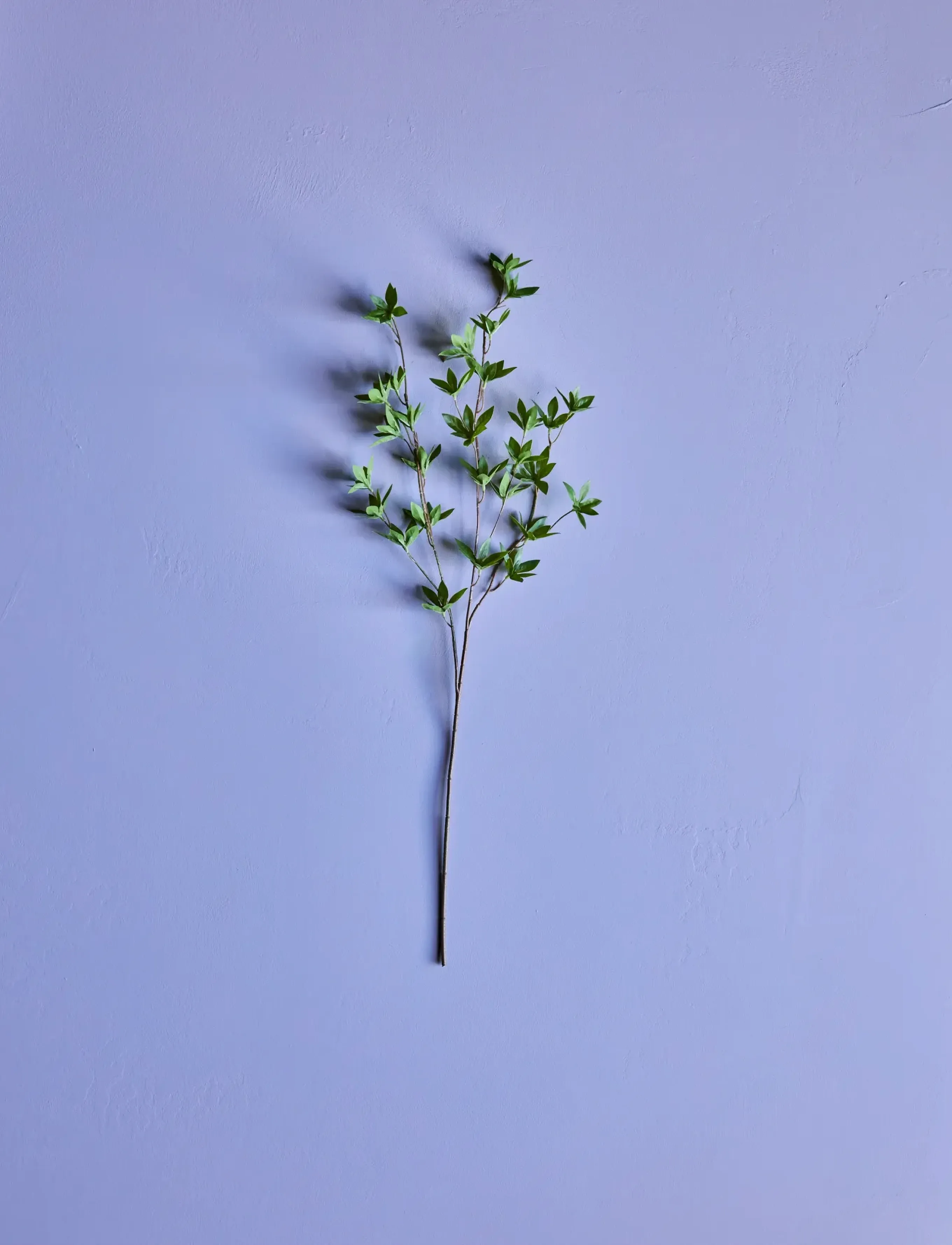 house doctor Artificial Branch, Hdjaponica, Gree, 15X 80 cm, Green, Decoration > Dried & Fake Flowers, Unisex