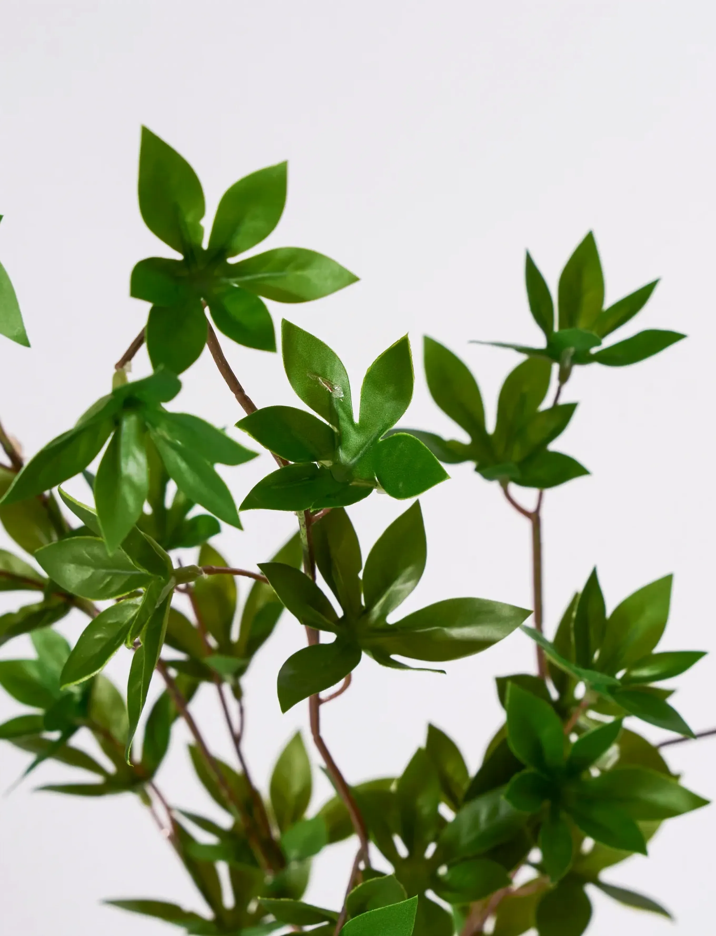 house doctor - Artificial branch, HDJaponica, Gree - valentínusargjafir - green - 2