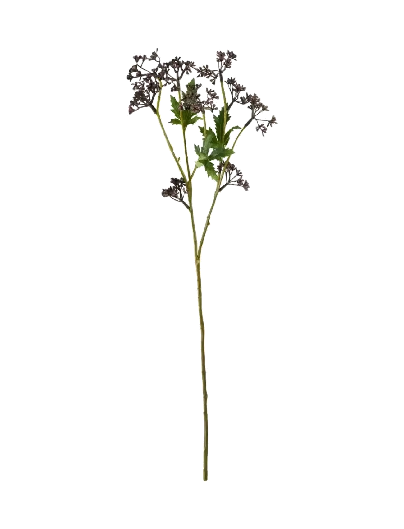 house doctor Artificial Branch, Hdmeadow, Burgun, Dried & Fake Flowers, Bordeaux, Str: 12X 55CM