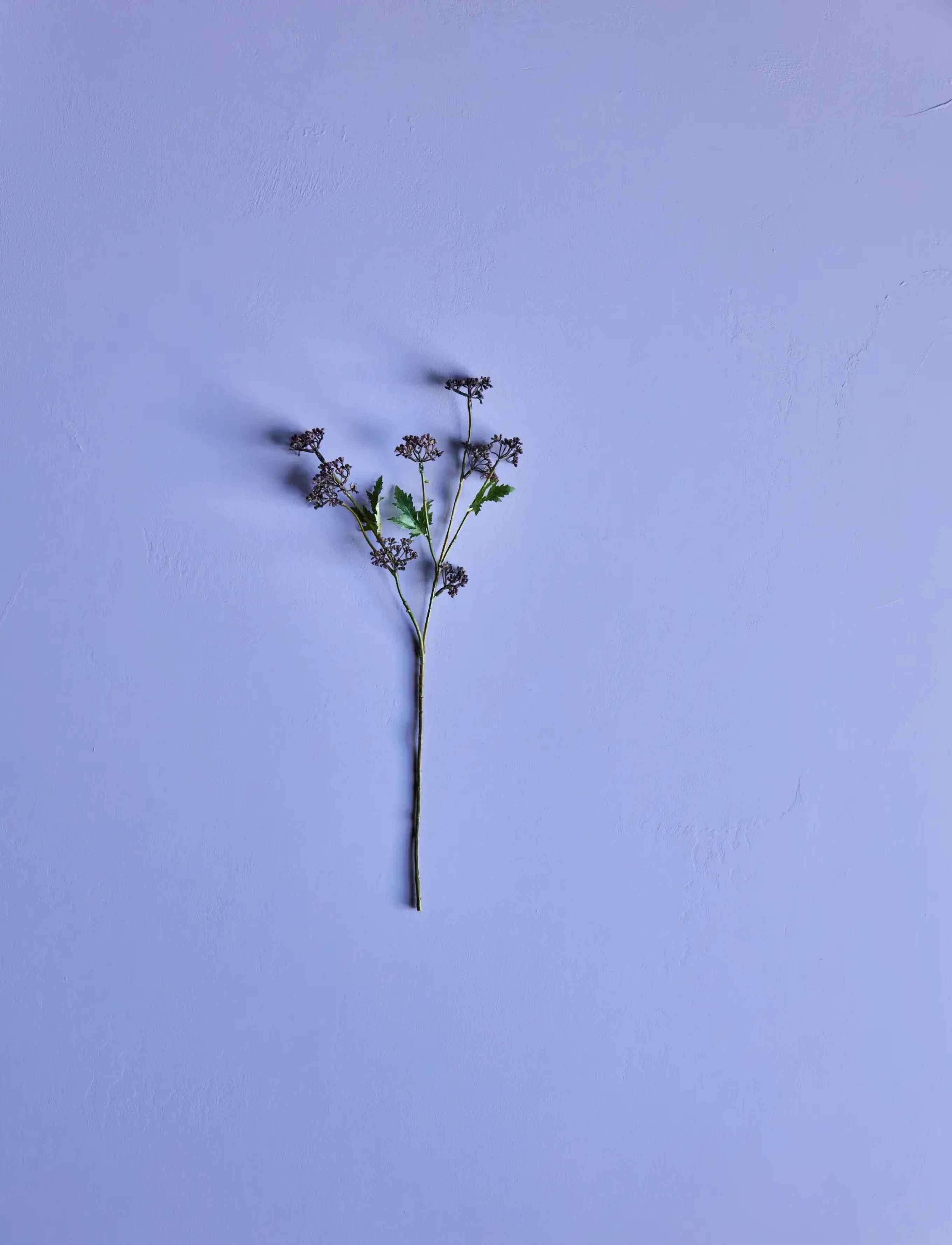 house doctor Artificial Branch, Hdmeadow, Burgun, 12X 55 cm, Decoration, Burgunderrot - Dried & Fake Flowers, Homeware