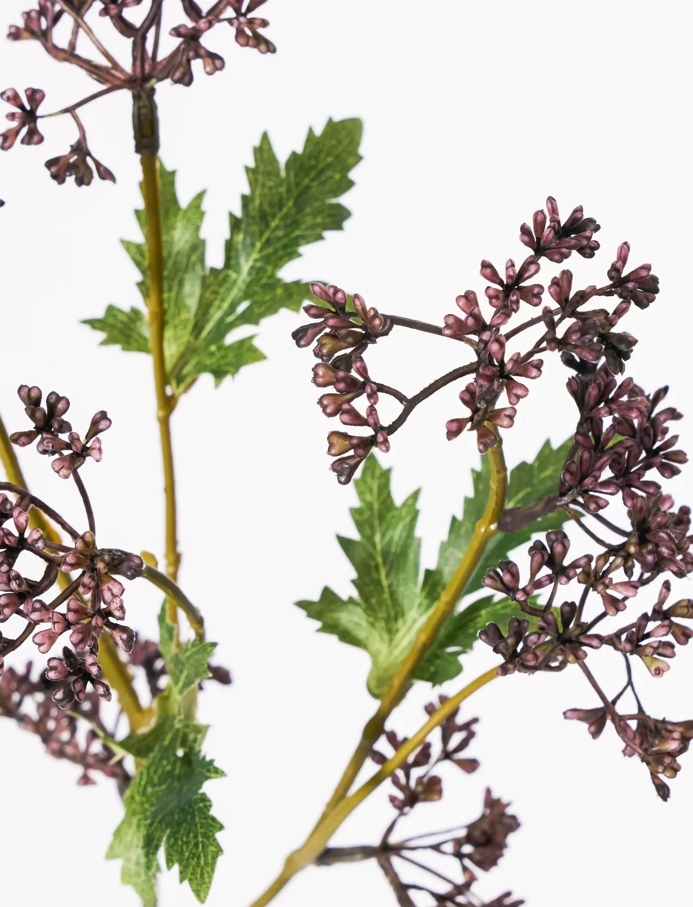 house doctor - Artificial branch, HDMeadow, Burgun - valentinsgaver - burgundy - 2