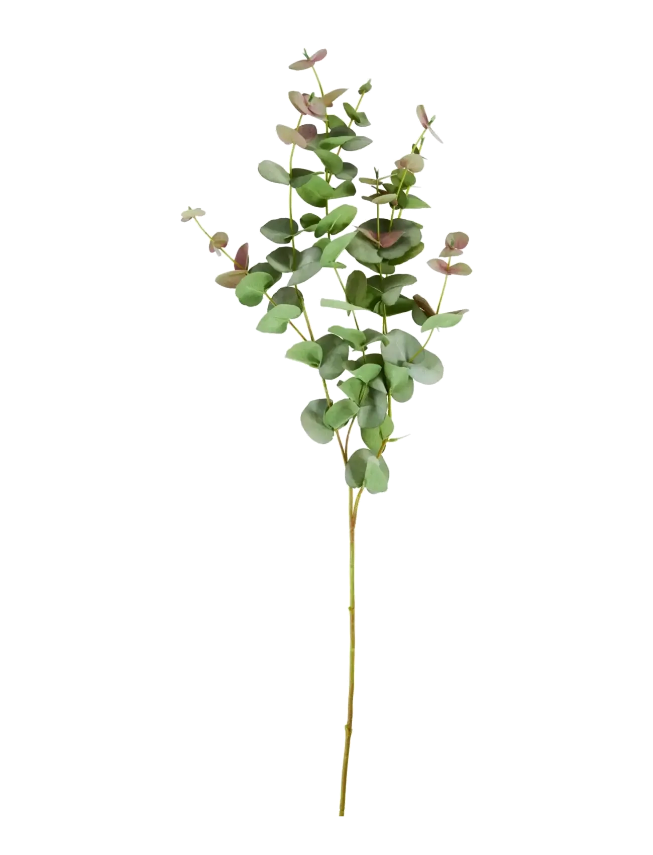 house doctor Artificial Branch, Hdeucalyptus, Gr, Dried & Fake Flowers, Grøn, Str: 25X 90CM