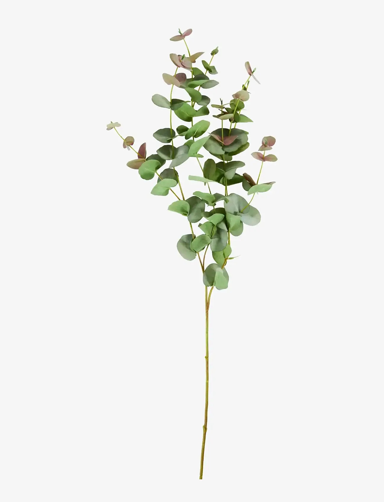 house doctor - Artificial branch, HDEucalyptus, Gr - sõbrapäeva kingitused - green - 1