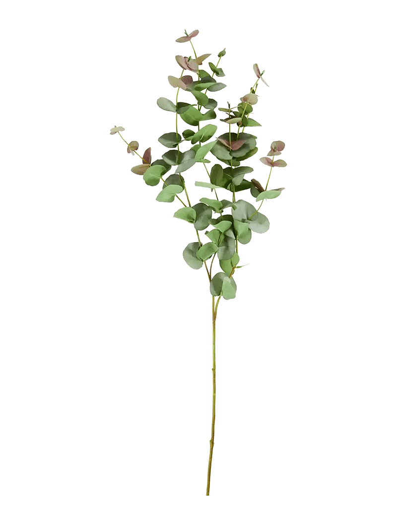 house doctor - Artificial branch, HDEucalyptus, Gr - sõbrapäeva kingitused - green - 1