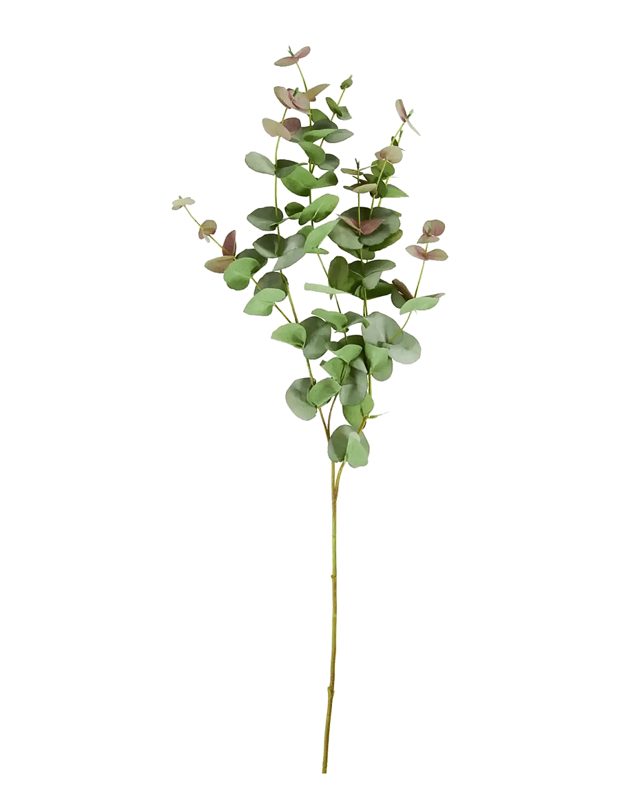 house doctor - Artificial branch, HDEucalyptus, Gr - valentinstaggeschenke - green - 1