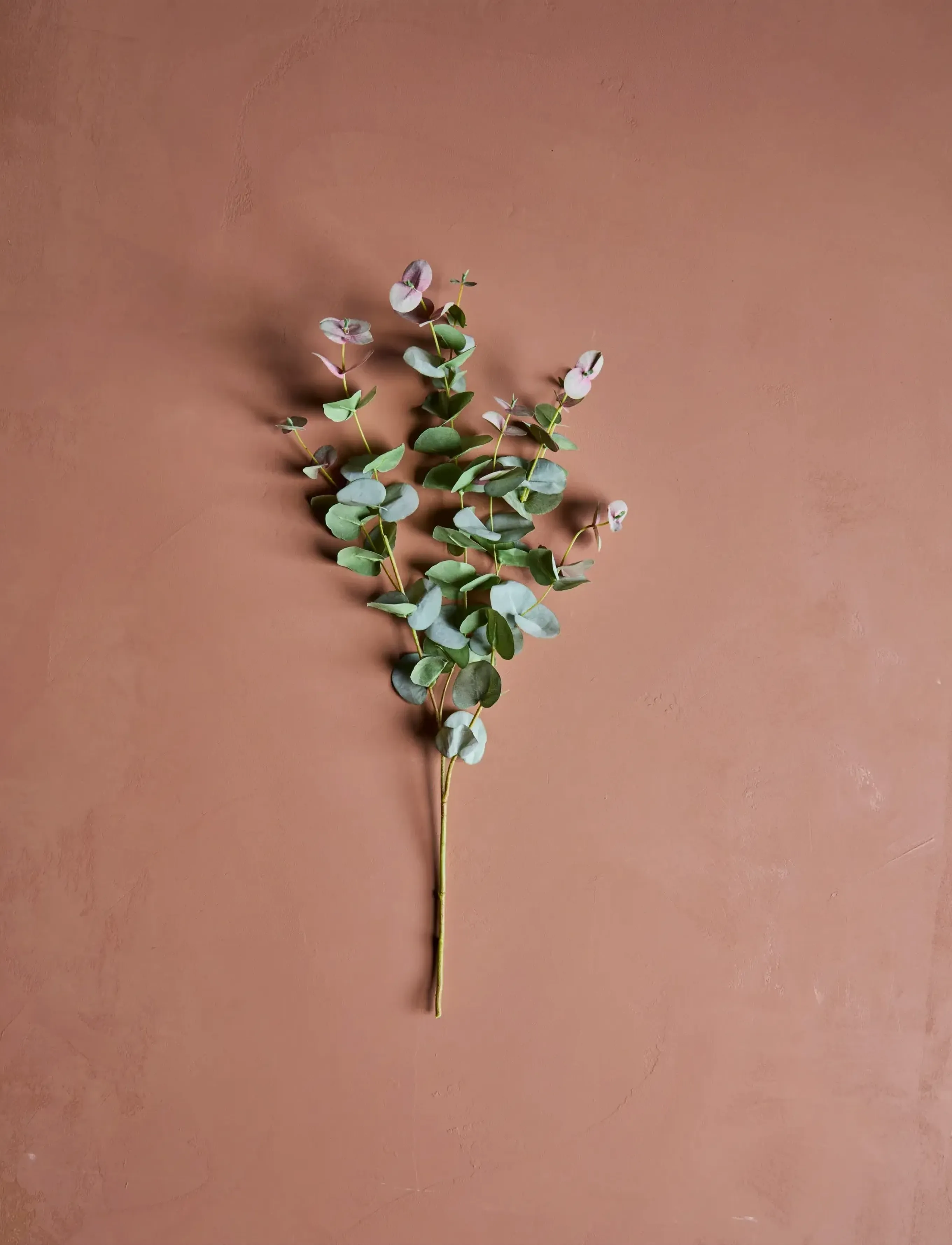 house doctor Artificial Branch, Hdeucalyptus, Gr, 25X 90 cm, Decoration, Grün - Dried & Fake Flowers, Homeware