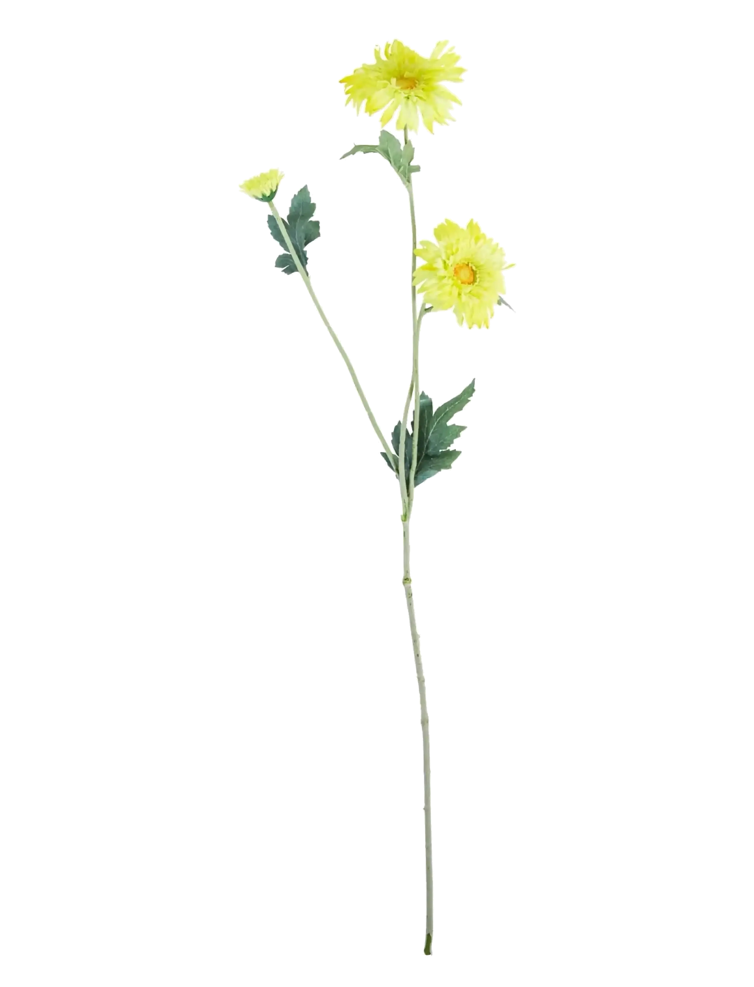 house doctor Artificial Flower, Hdgerbera, Yello, Dried & Fake Flowers, Gul, Str: 14X 70CM