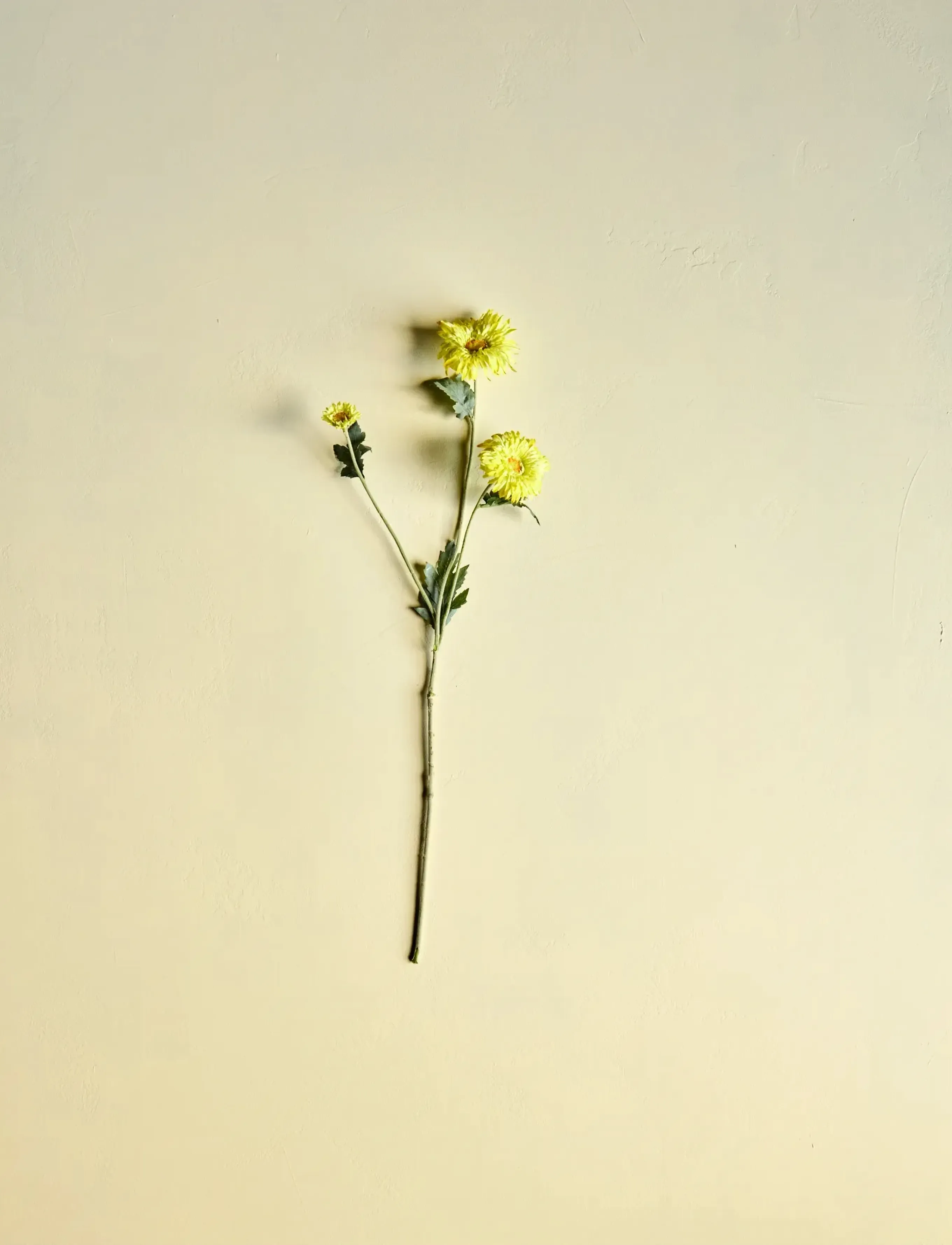house doctor Artificial Flower, Hdgerbera, Yello, 14X 70 cm, Decoration, Gelb - Dried & Fake Flowers, Homeware