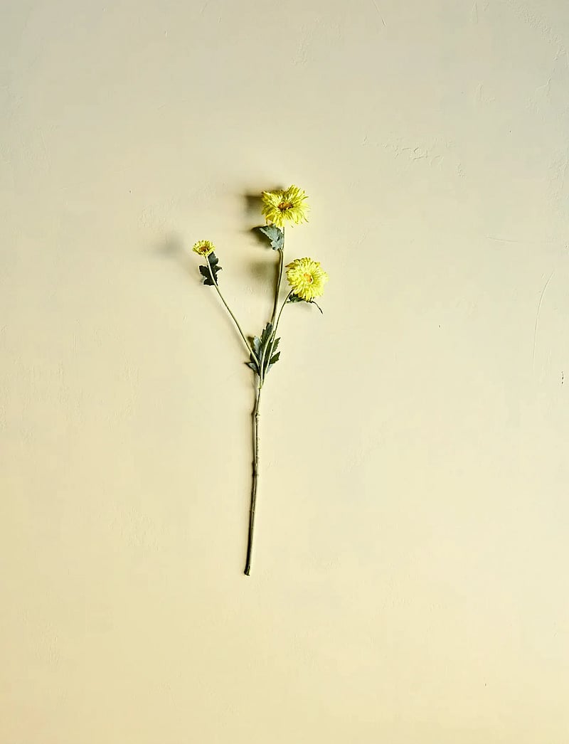house doctor - Artificial flower, HDGerbera, Yello - sõbrapäeva kingitused - yellow - 0