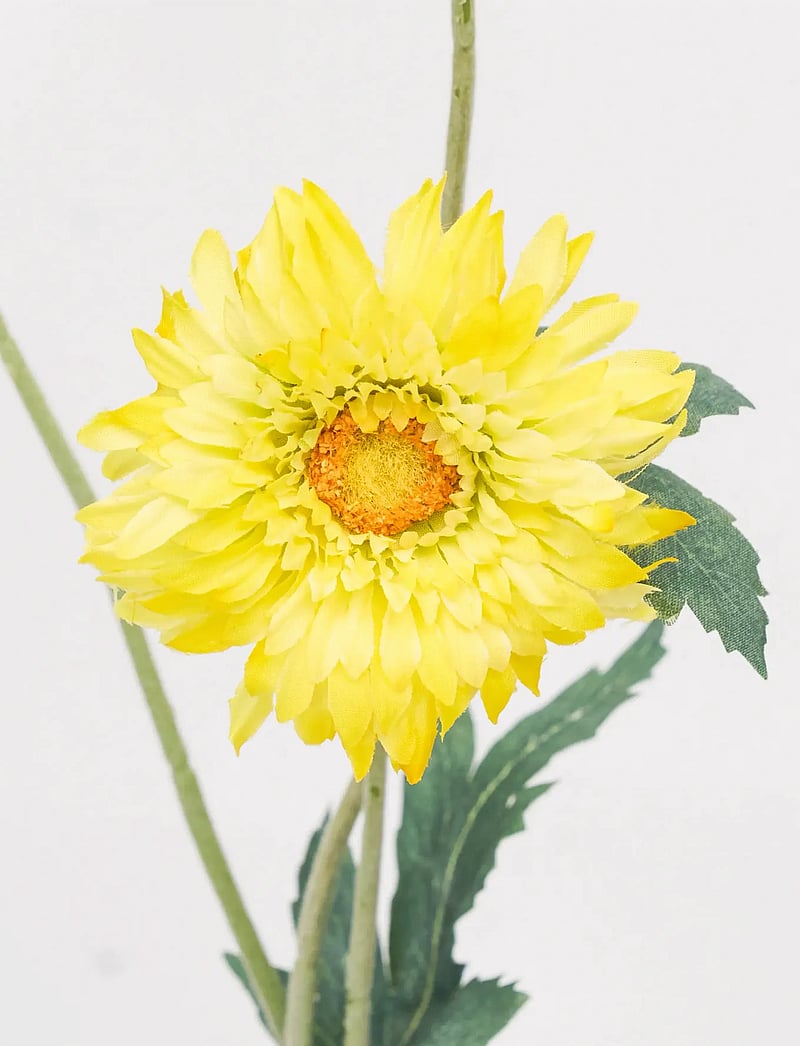 house doctor - Artificial flower, HDGerbera, Yello - sõbrapäeva kingitused - yellow - 2