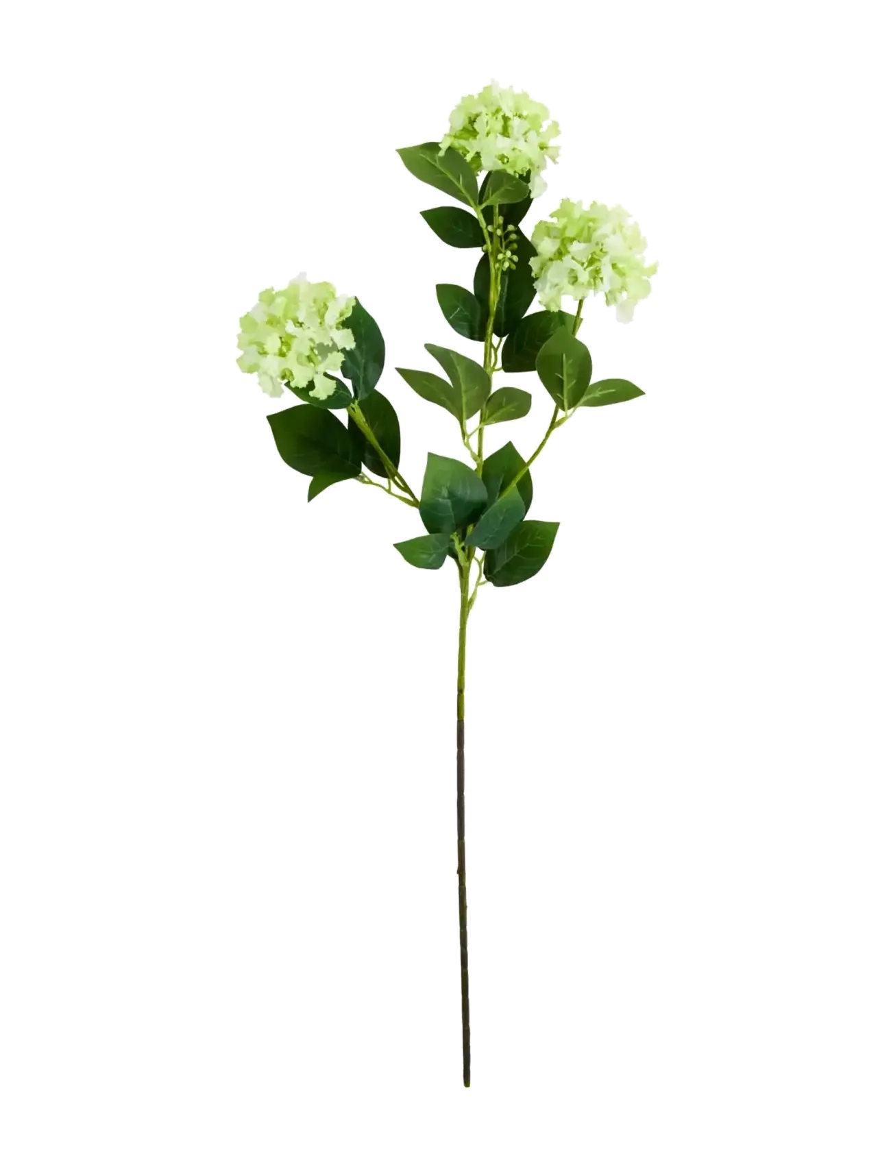 house doctor Artificial Flower, Hdviburnum, Gree, Dried & Fake Flowers, Grøn, Str: 15X 60CM