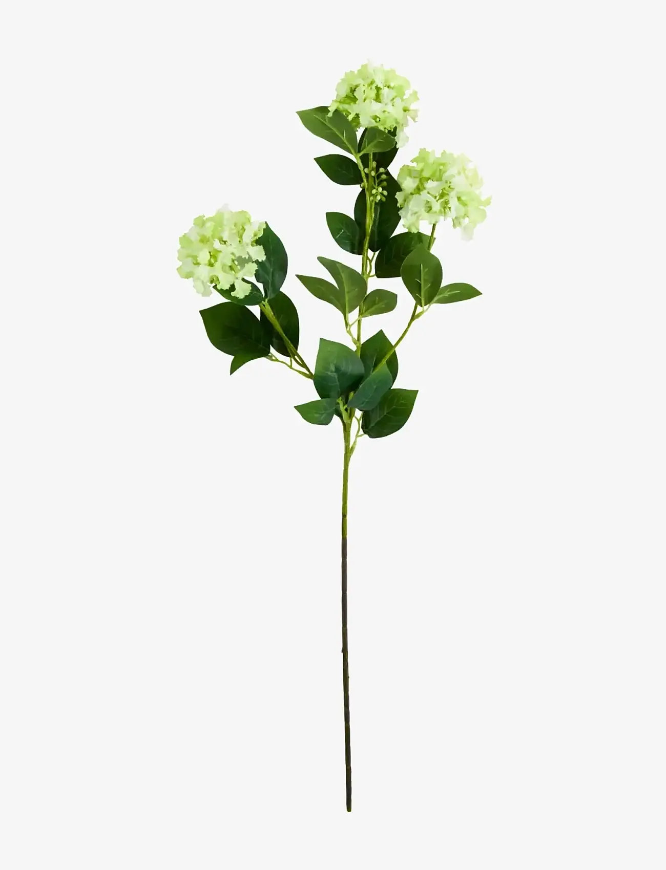 house doctor - Artificial flower, HDViburnum, Green - valentinstaggeschenke - green - 1