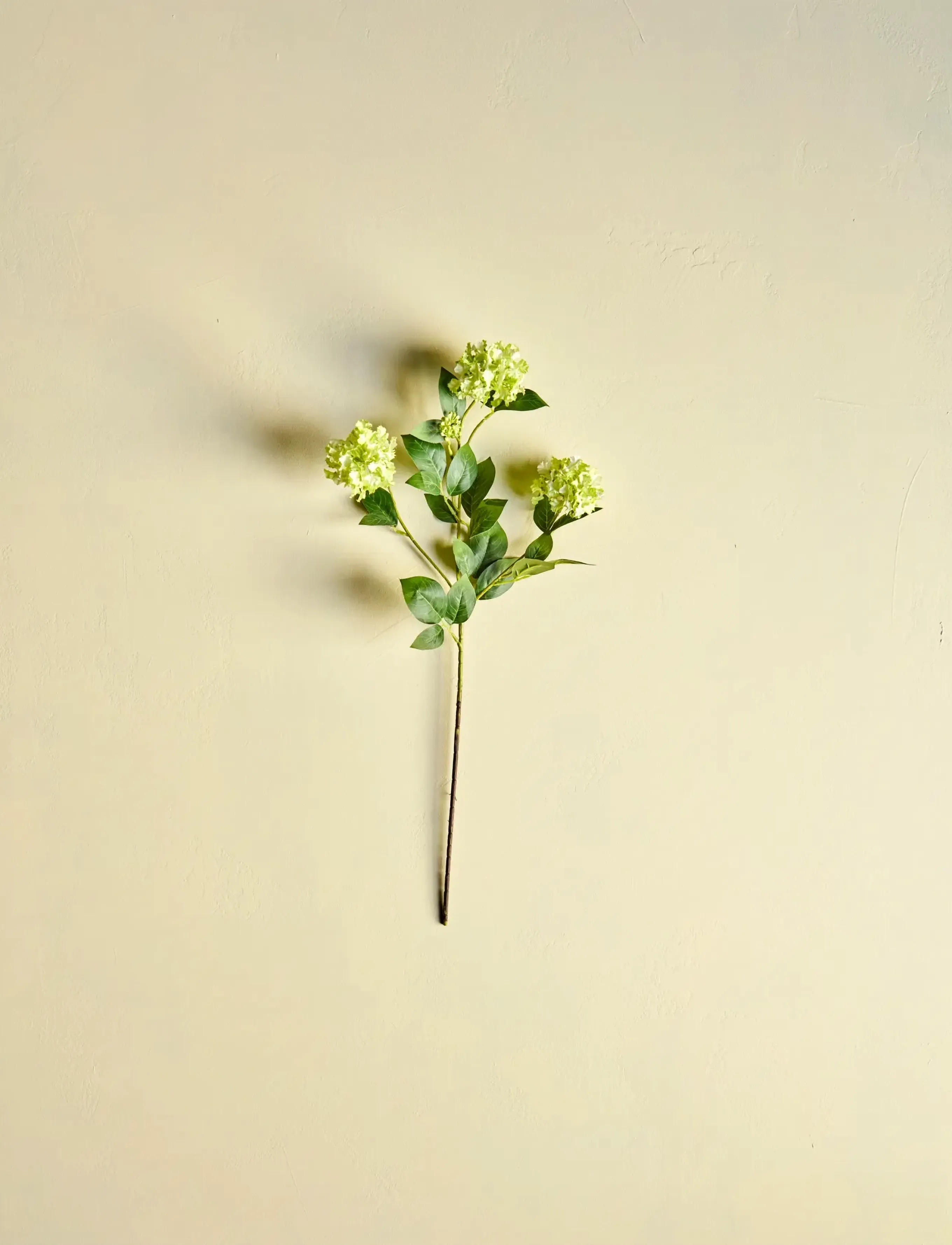 house doctor Artificial Flower, Hdviburnum, Gree, 15X 60 cm, Decoration, Grün - Dried & Fake Flowers, Homeware