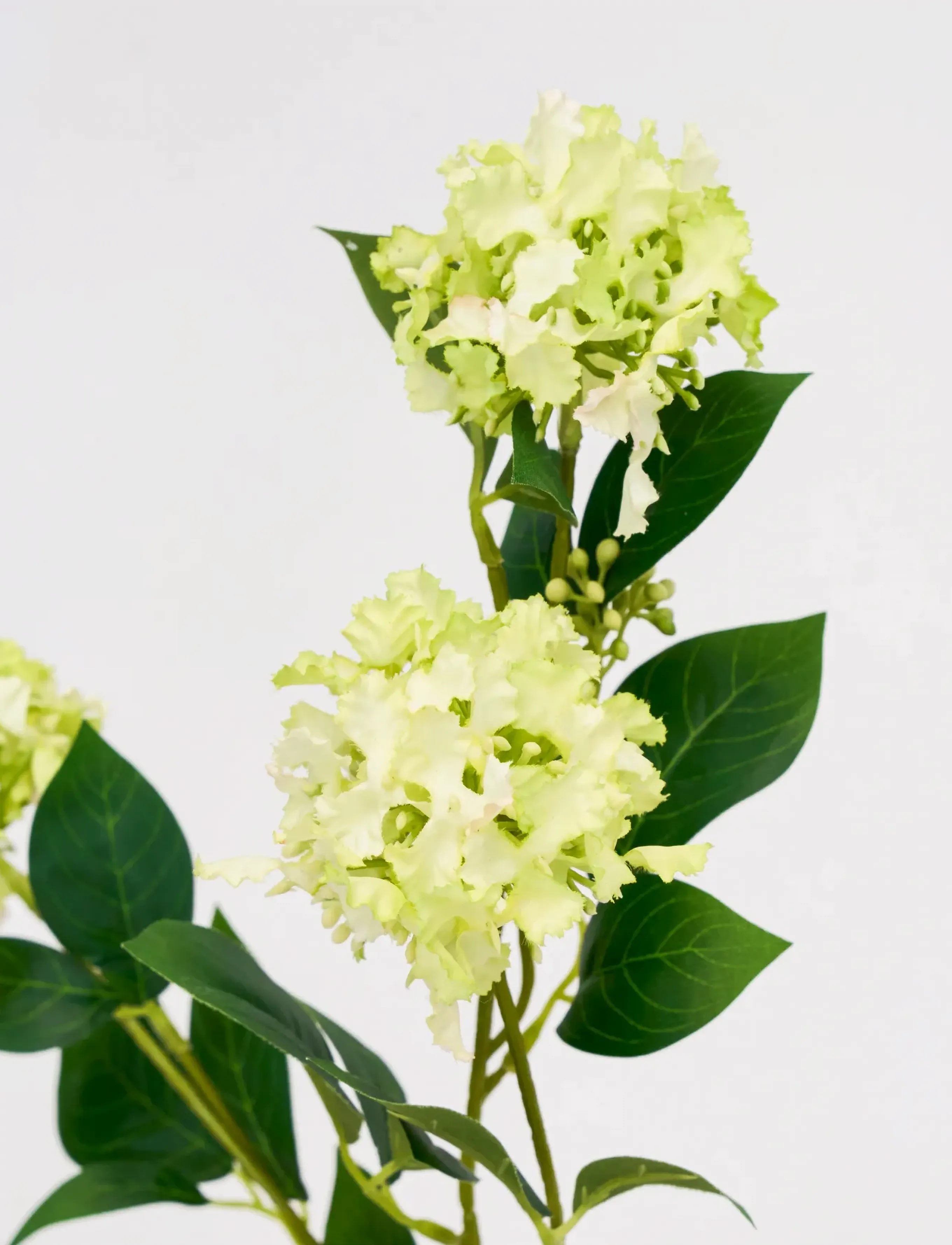 house doctor - Artificial flower, HDViburnum, Gree - sõbrapäeva kingitused - green - 2