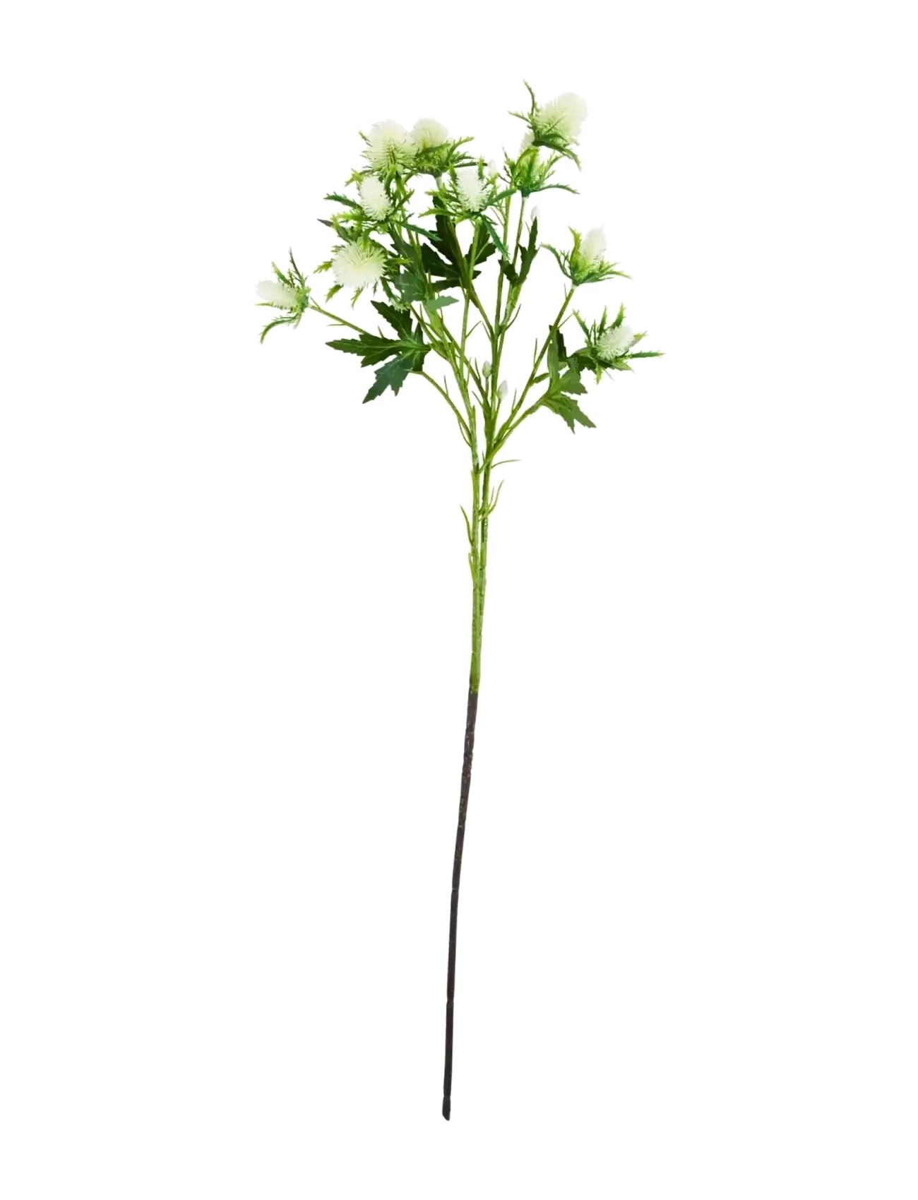 house doctor Artificial Flower, Hderyngium, Whit, Dried & Fake Flowers, Hvid, Str: 20X 67CM