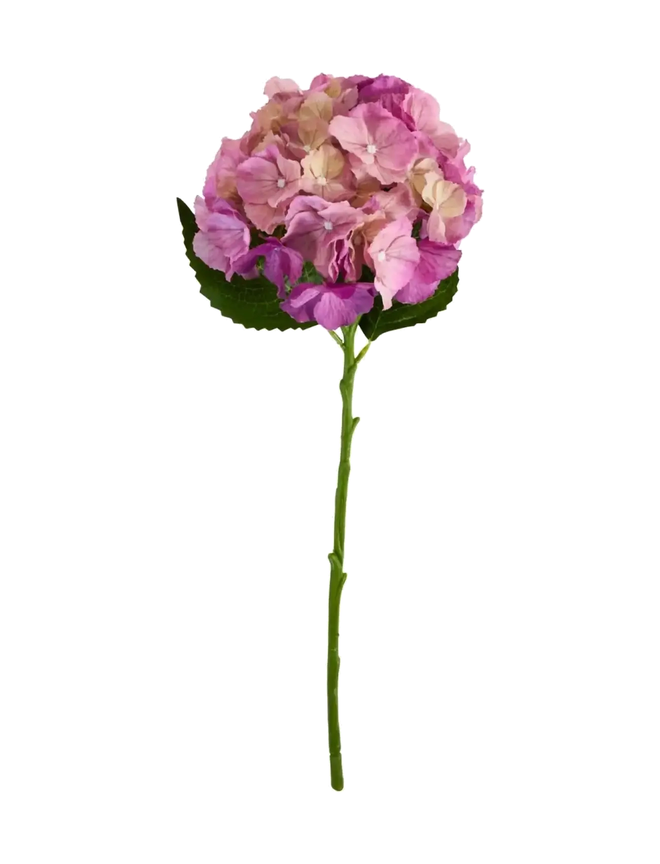 house doctor Artificial Flower, Hdhydrangea, Pin, Dried & Fake Flowers, Pink, Str: 22X 50CM