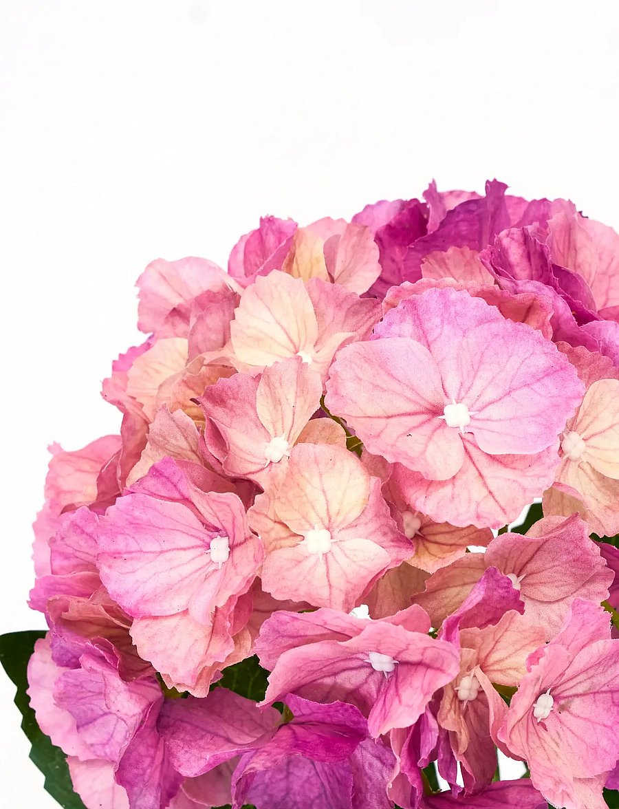 house doctor - Artificial flower, HDHydrangea, Pin - valentinstaggeschenke - pink - 2