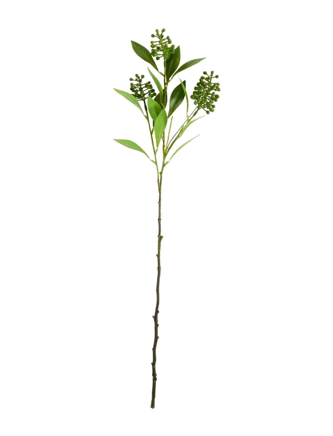 house doctor Artificial Branch, Hdligustrum, Gre, Dried & Fake Flowers, Grøn, Str: 15X 70CM