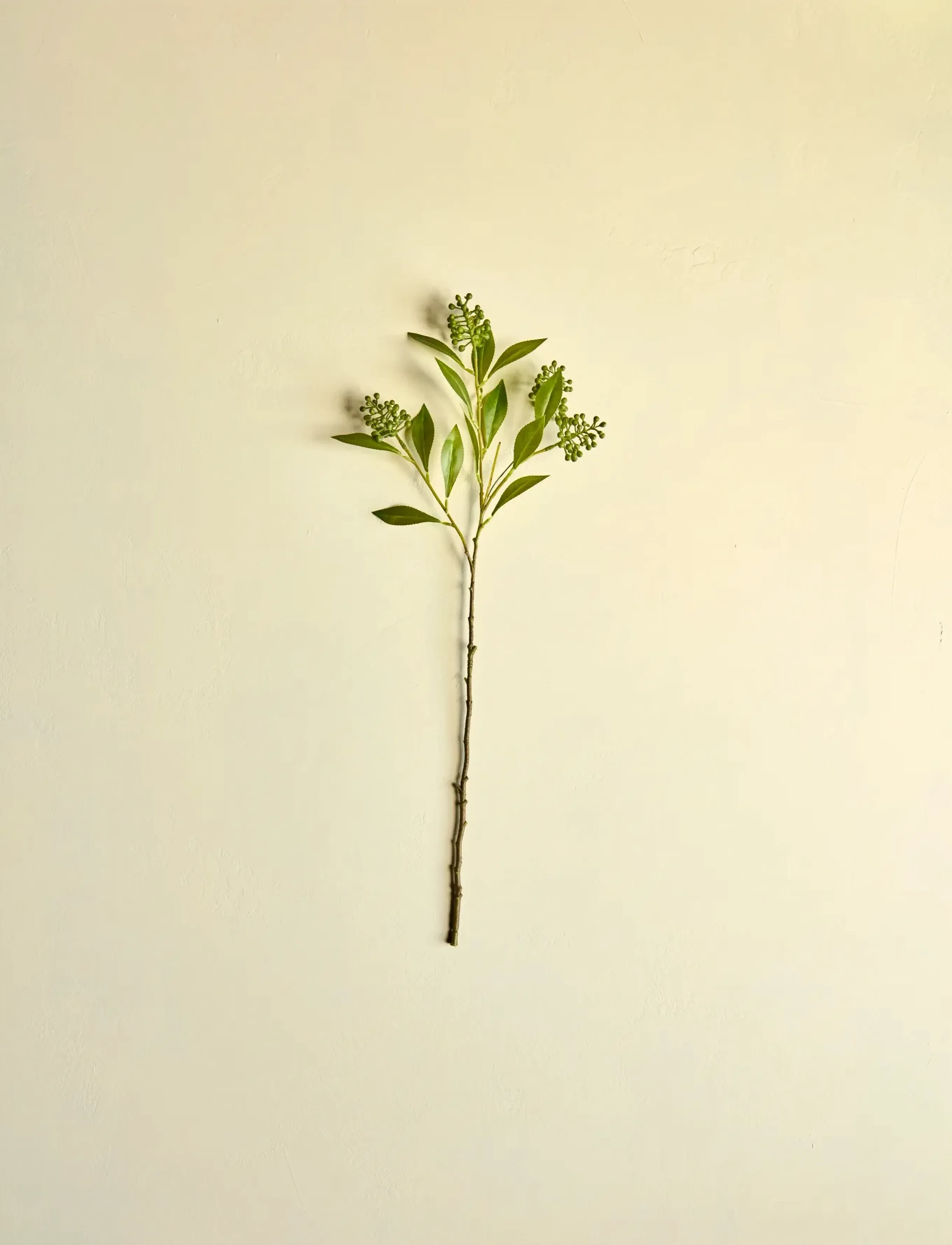 house doctor Artificial Branch, Hdligustrum, Gre, 15X 70 cm, Decoration, Grün - Dried & Fake Flowers, Homeware