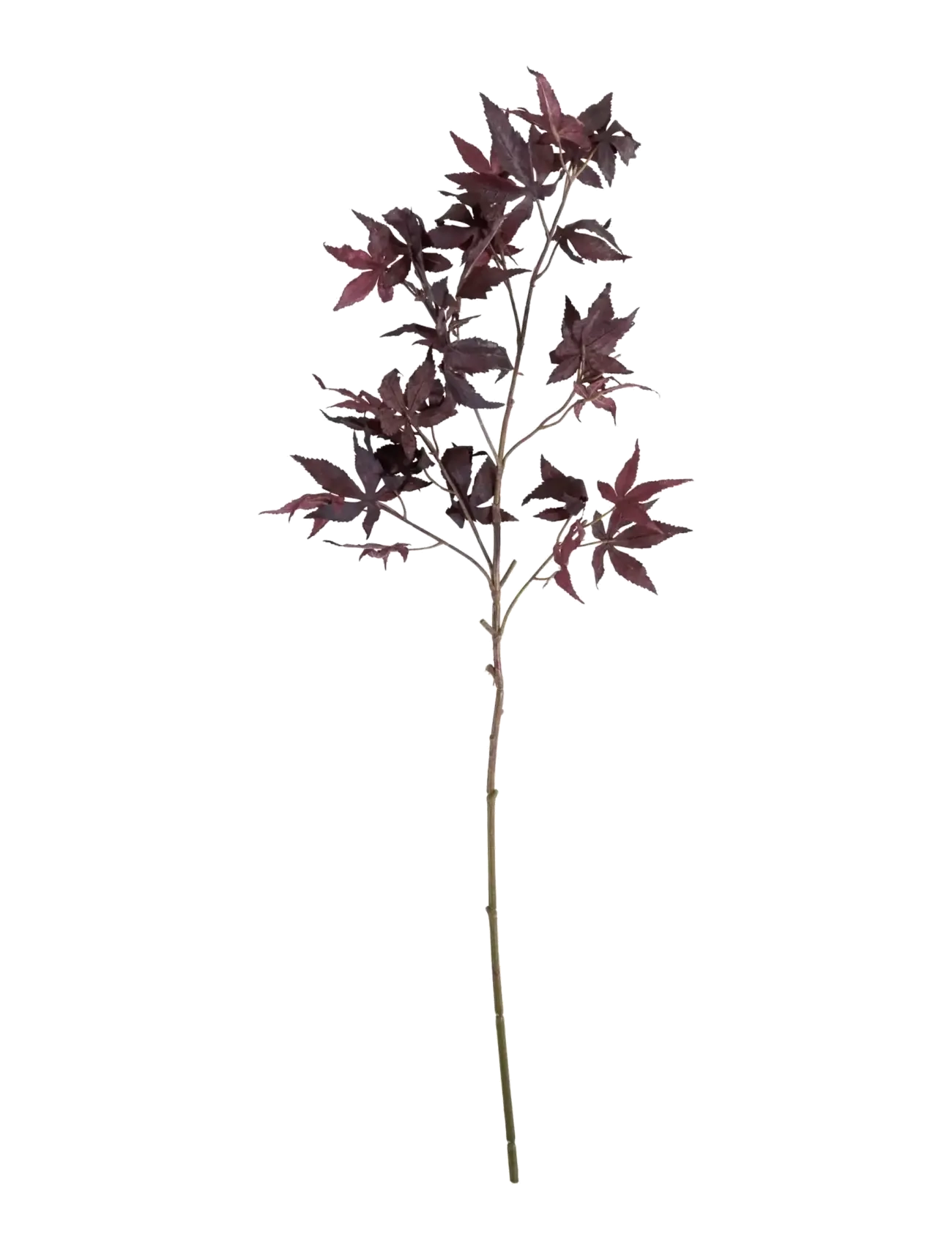 house doctor Artificial Branch, Hdmaple, Burgund, Dried & Fake Flowers, Bordeaux, Str: 30X 90CM