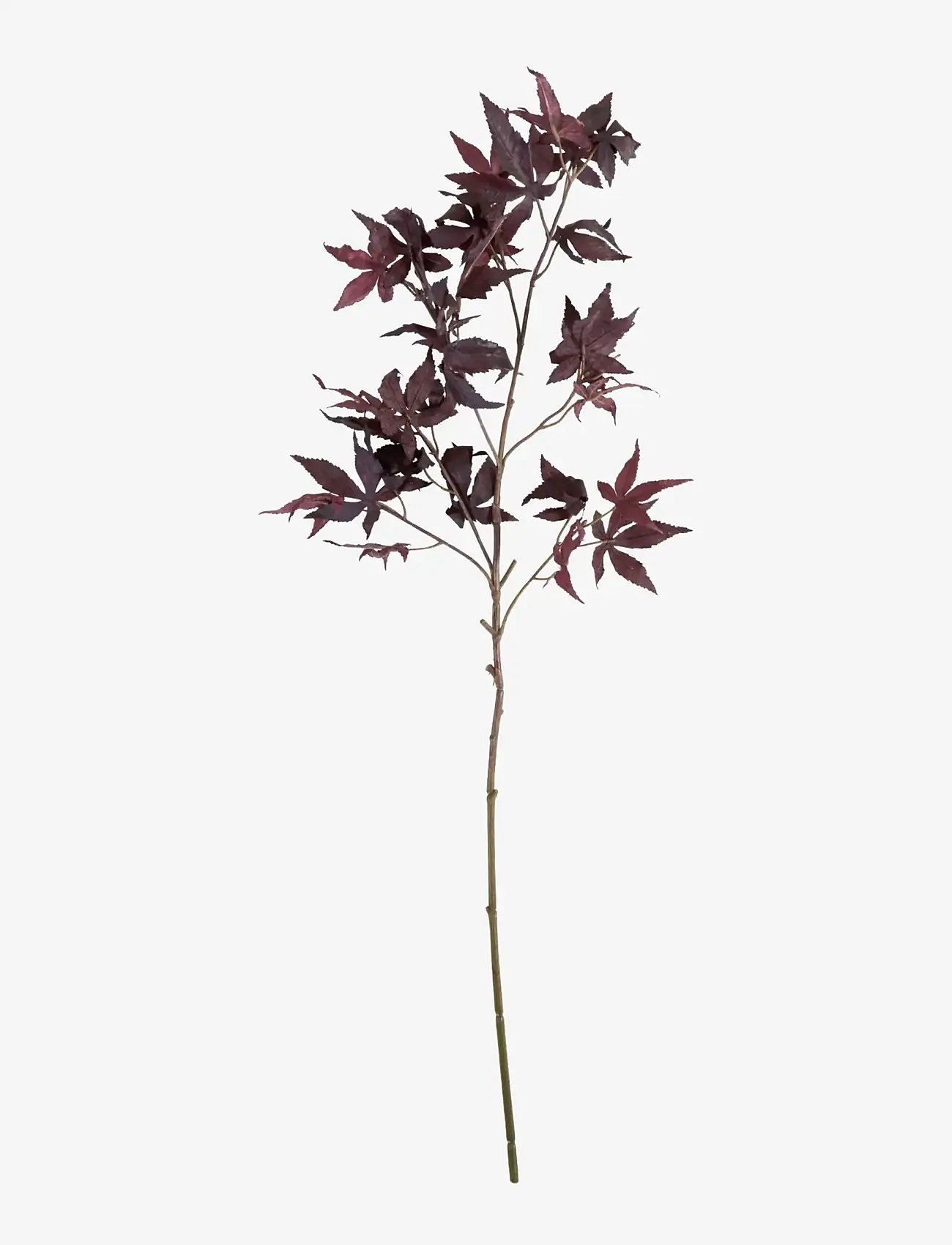 house doctor - Artificial branch, HDMaple, Burgund - sõbrapäeva kingitused - burgundy - 1