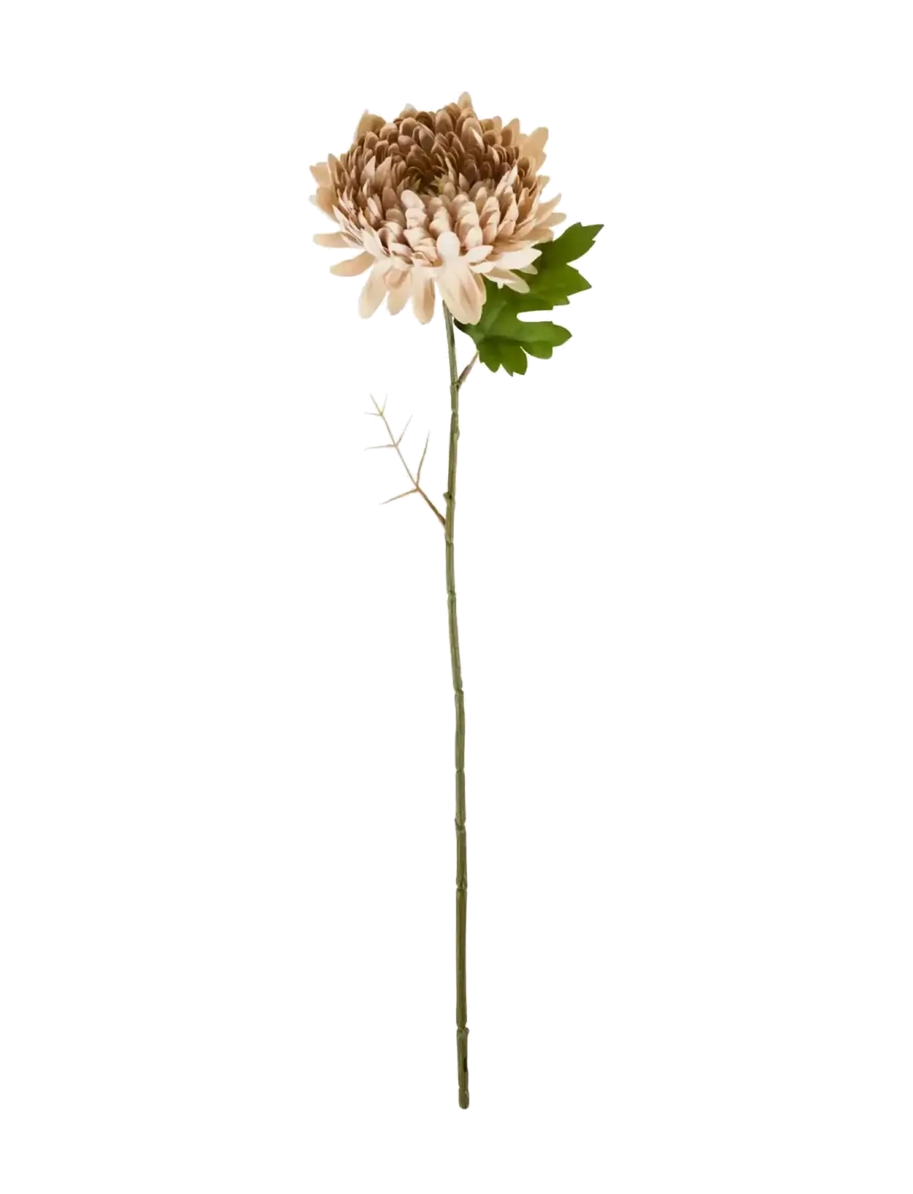 house doctor Artificial Flower, Hdchrysanthemum,, Dried & Fake Flowers, Pink, Str: 14X 60CM