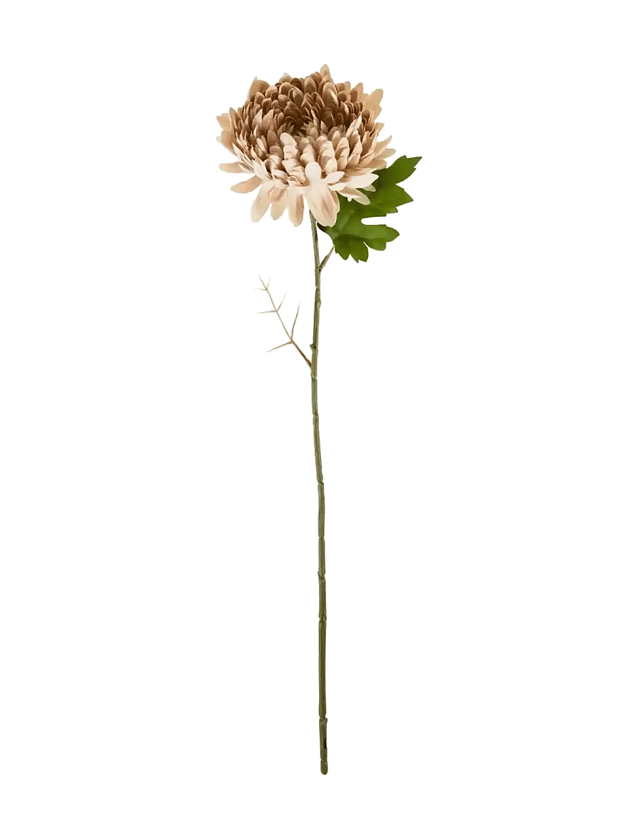 house doctor - Artificial flower, HDChrysanthemum, - sõbrapäeva kingitused - dusty rose - 1