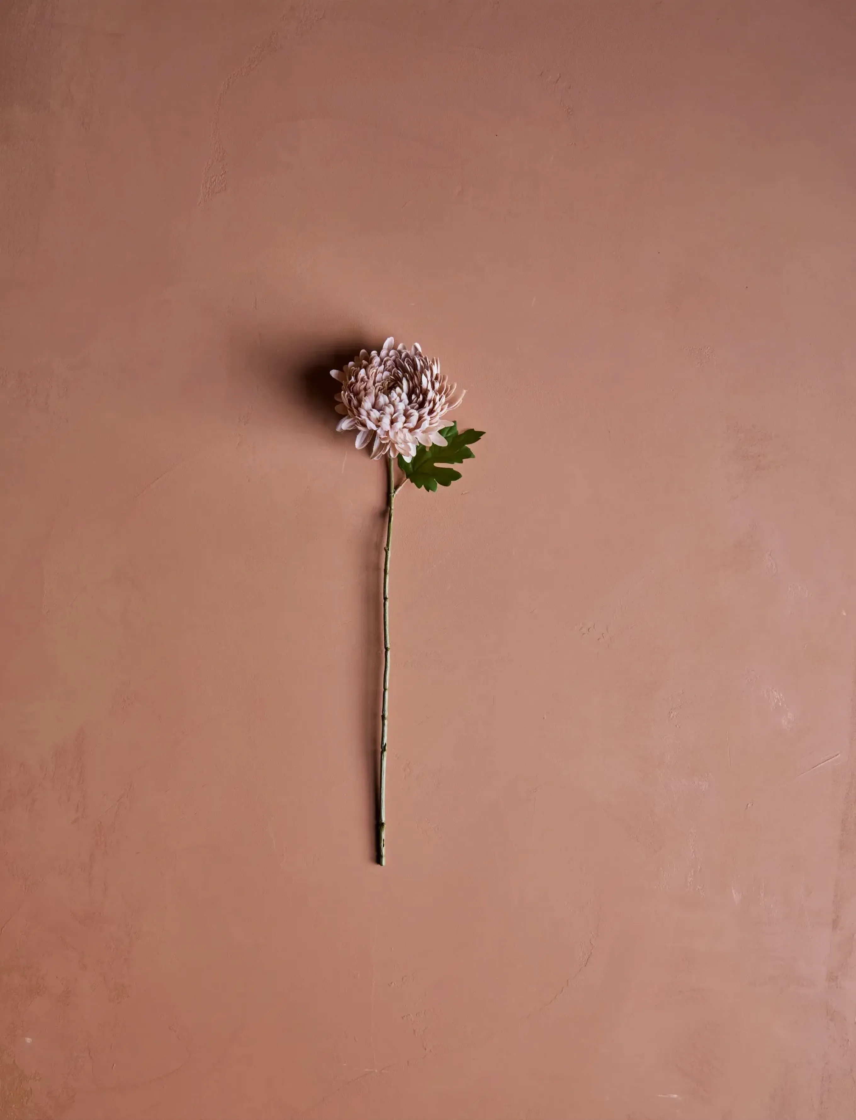 house doctor Artificial Flower, Hdchrysanthemum,, 14X 60 cm, Decoration, Rosa - Dried & Fake Flowers, Homeware