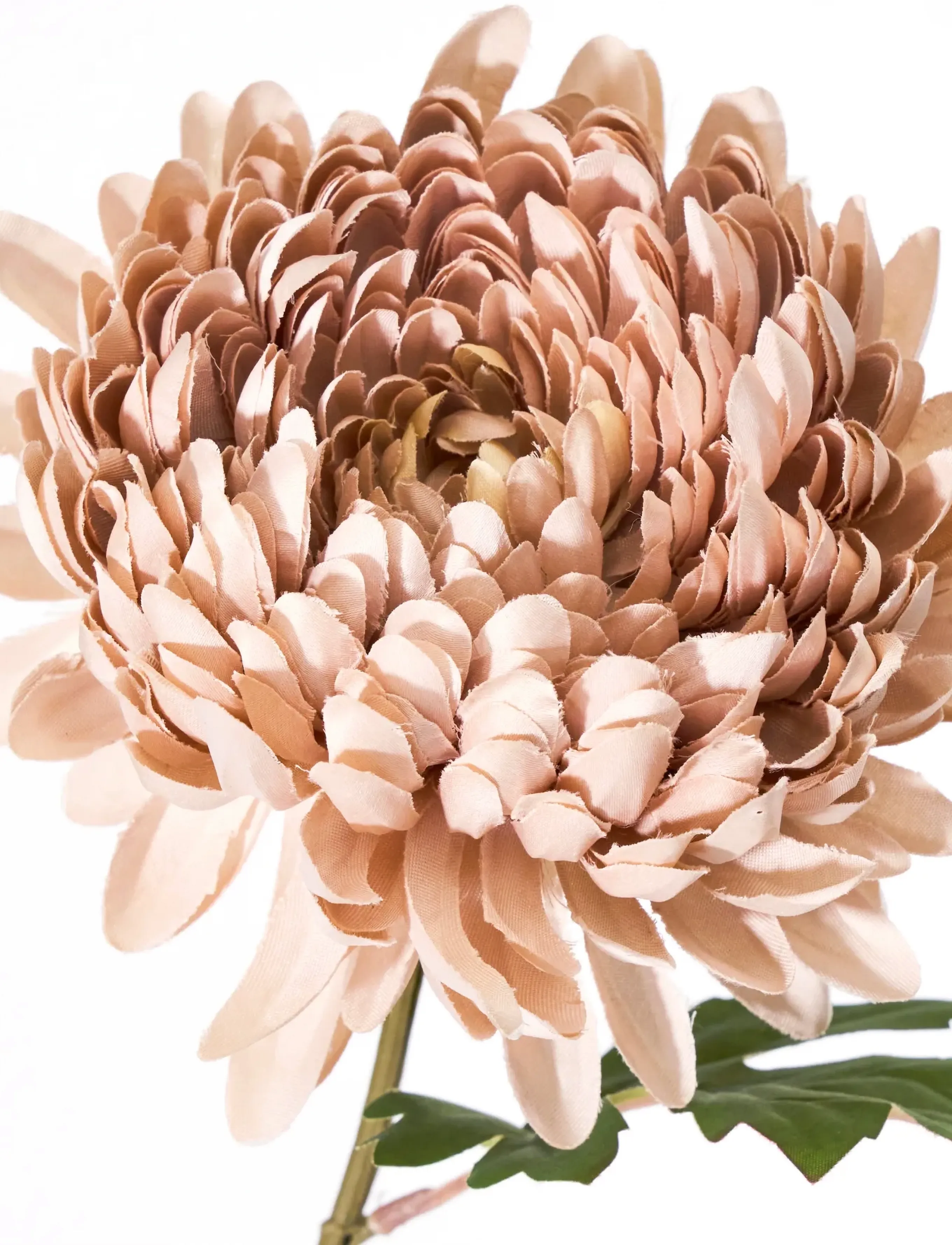 house doctor - Artificial flower, HDChrysanthemum, - dusty rose - 2