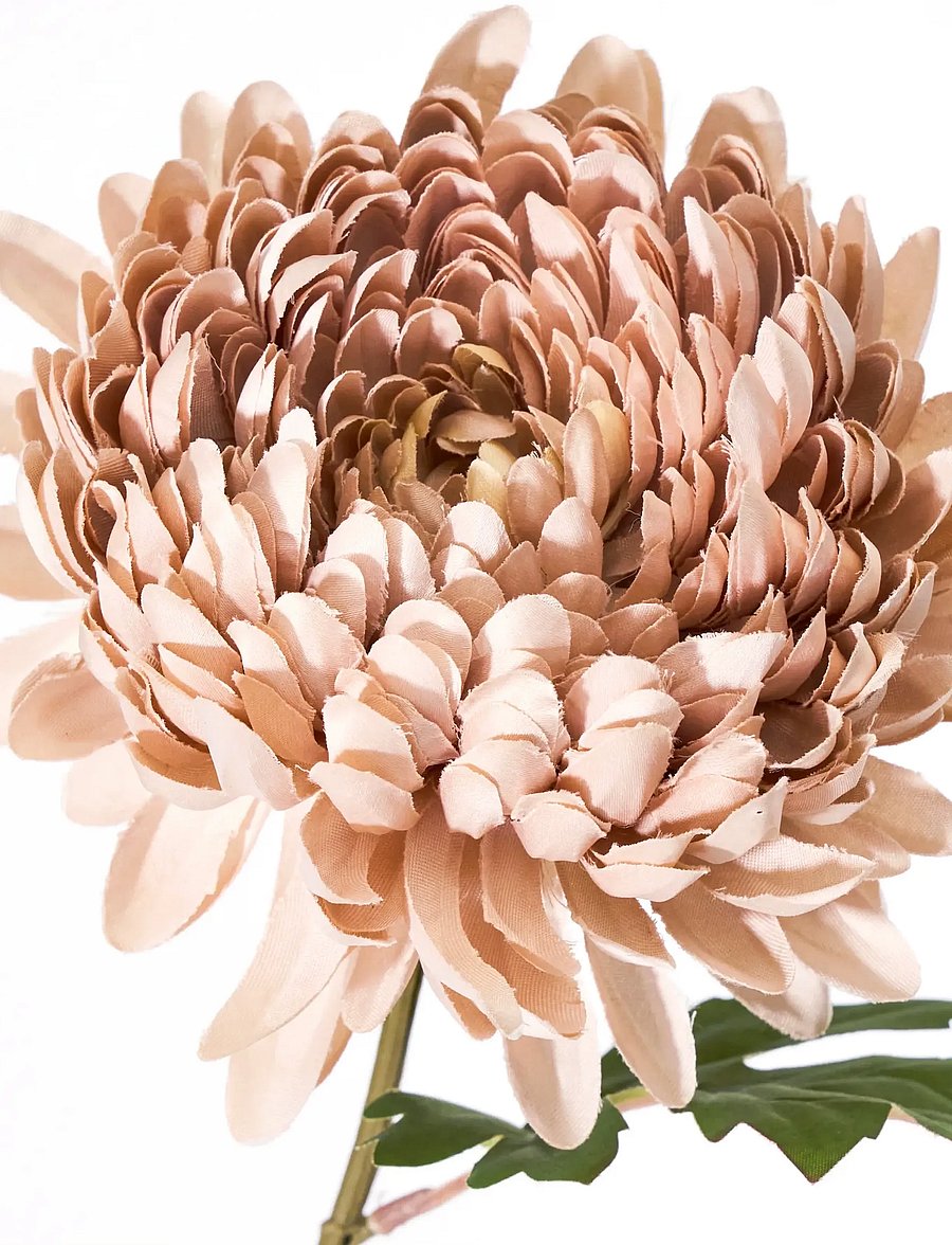 house doctor - Artificial flower, HDChrysanthemum, - sõbrapäeva kingitused - dusty rose - 2