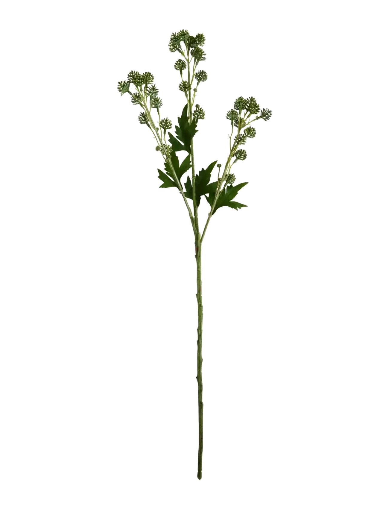 house doctor Artificial Branch, Hdsedum, Green, Dried & Fake Flowers, Grøn, Str: 20X 80CM