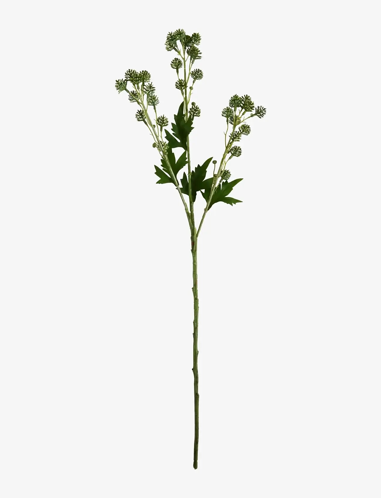 house doctor - Artificial branch, HDSedum, Green - sõbrapäeva kingitused - green - 1