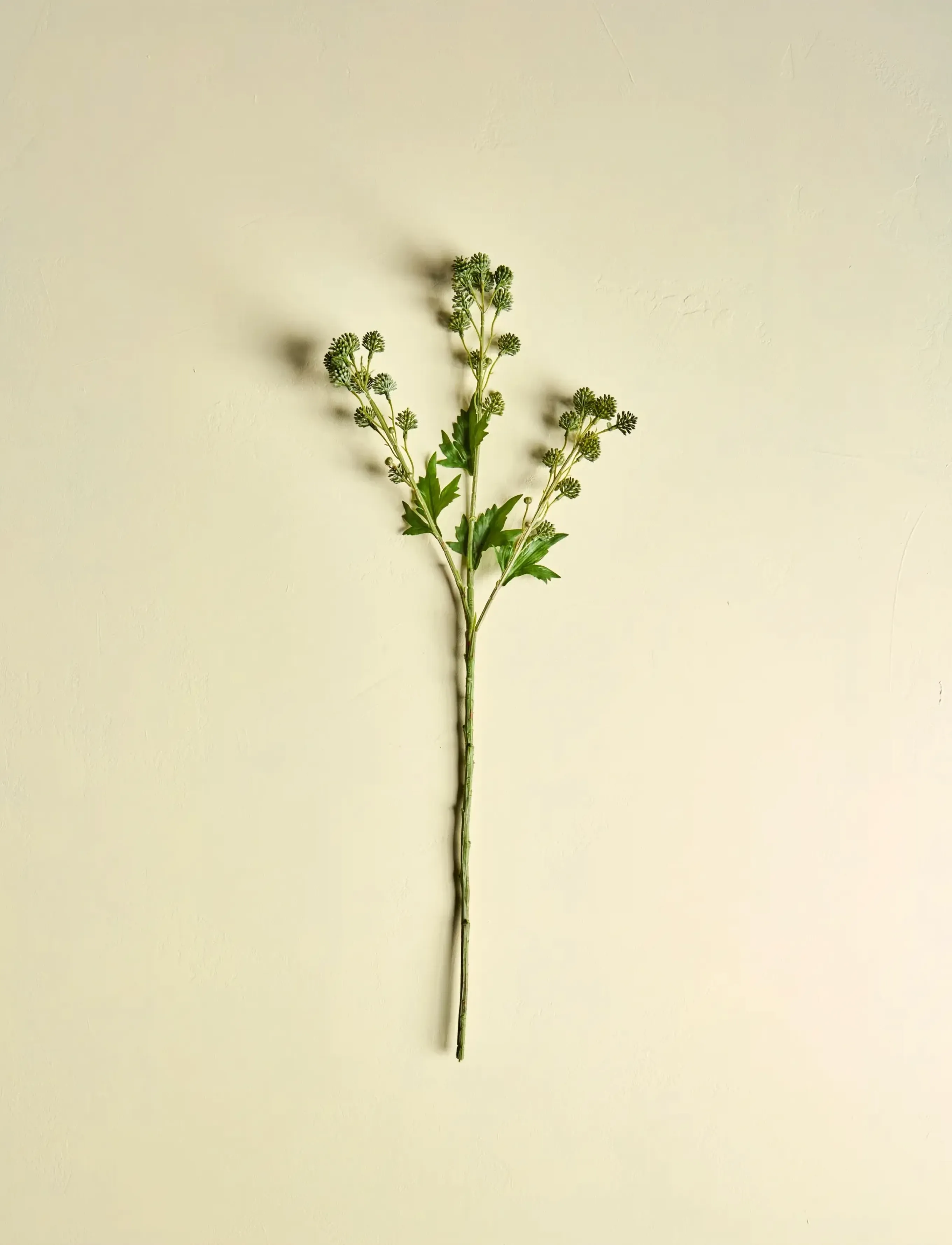 house doctor Artificial Branch, Hdsedum, Green, 20X 80 cm, Decoration, Grün - Dried & Fake Flowers, Homeware