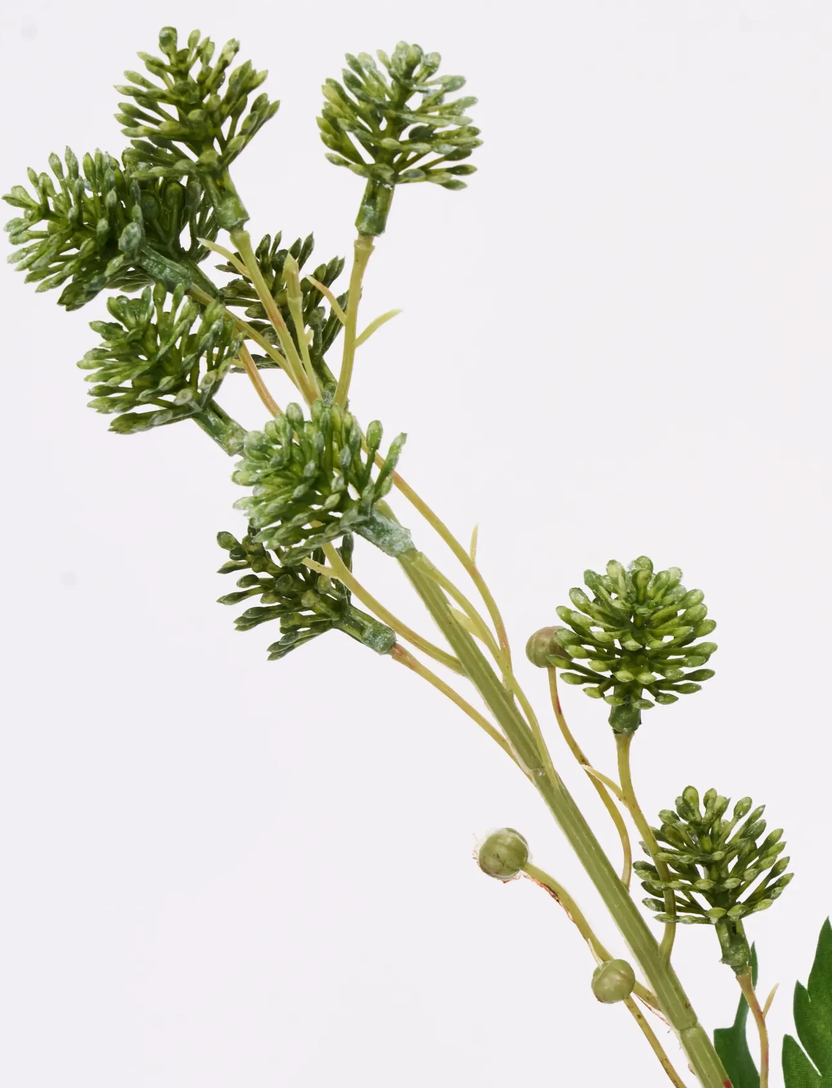 house doctor - Artificial branch, HDSedum, Green - valentinstaggeschenke - green - 2