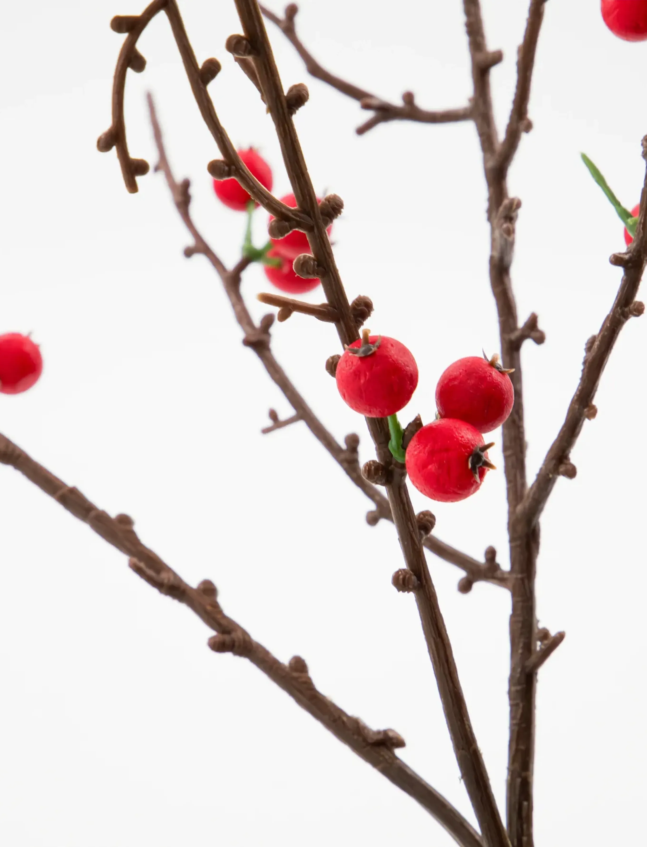 house doctor - Artificial branch, HDDecor, Red - red - 2