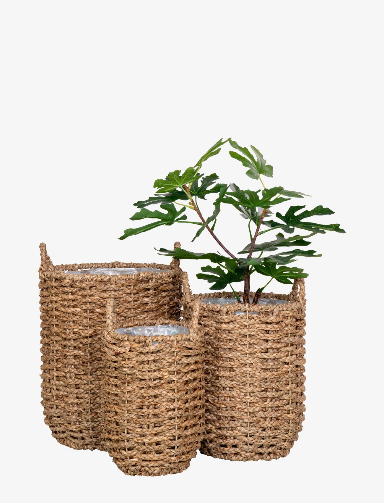 House Nordic - Leri - Baskets, seagrass, natural, set of 3 - blumentöpfe - natural - 2