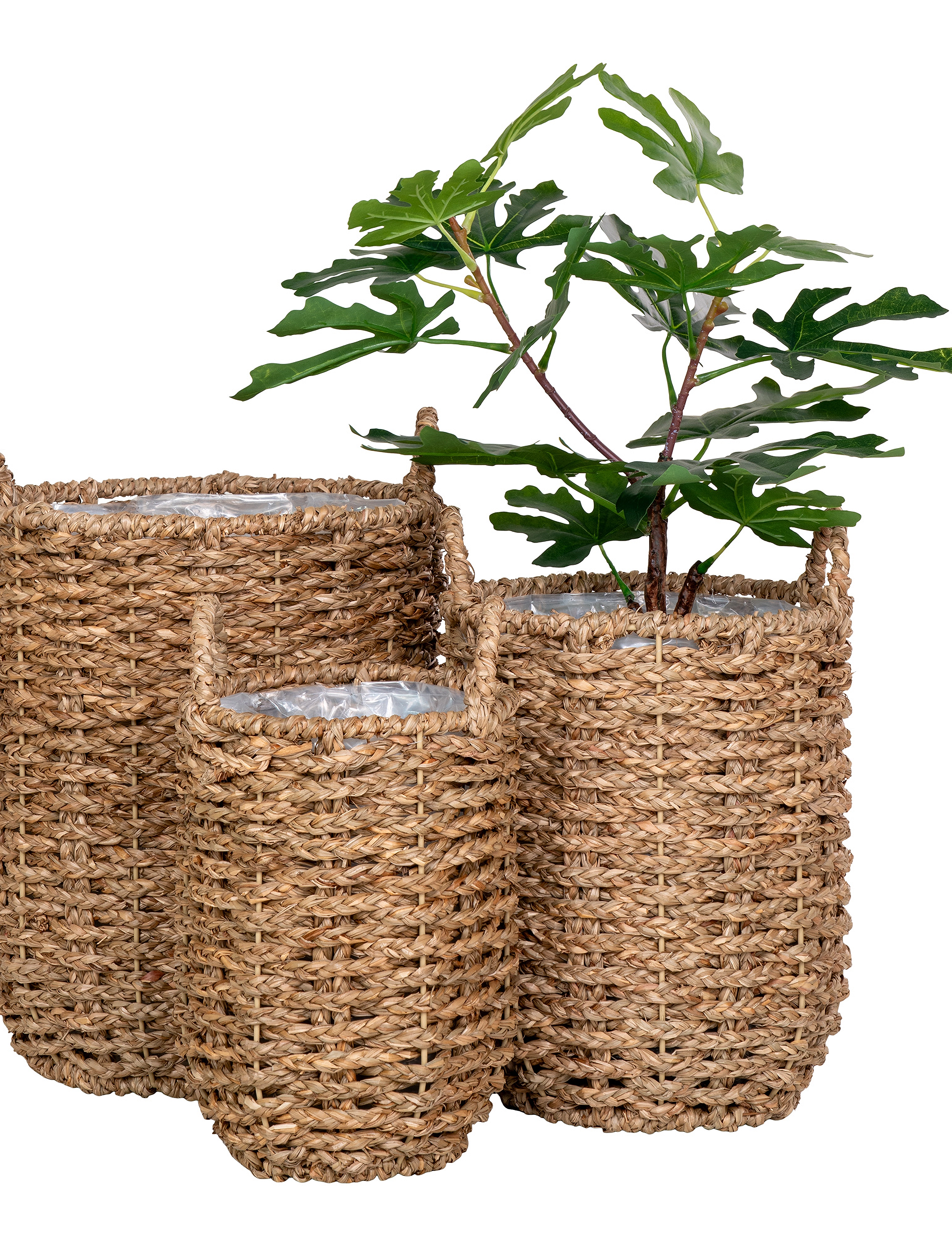 House Nordic - Leri - Baskets, seagrass, natural, set of 3 - blumentöpfe - natural - 5