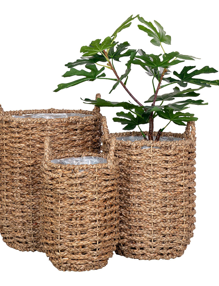 House Nordic - Leri - Baskets, seagrass, natural, set of 3 - blumentöpfe - natural - 5